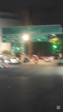 03082.gif