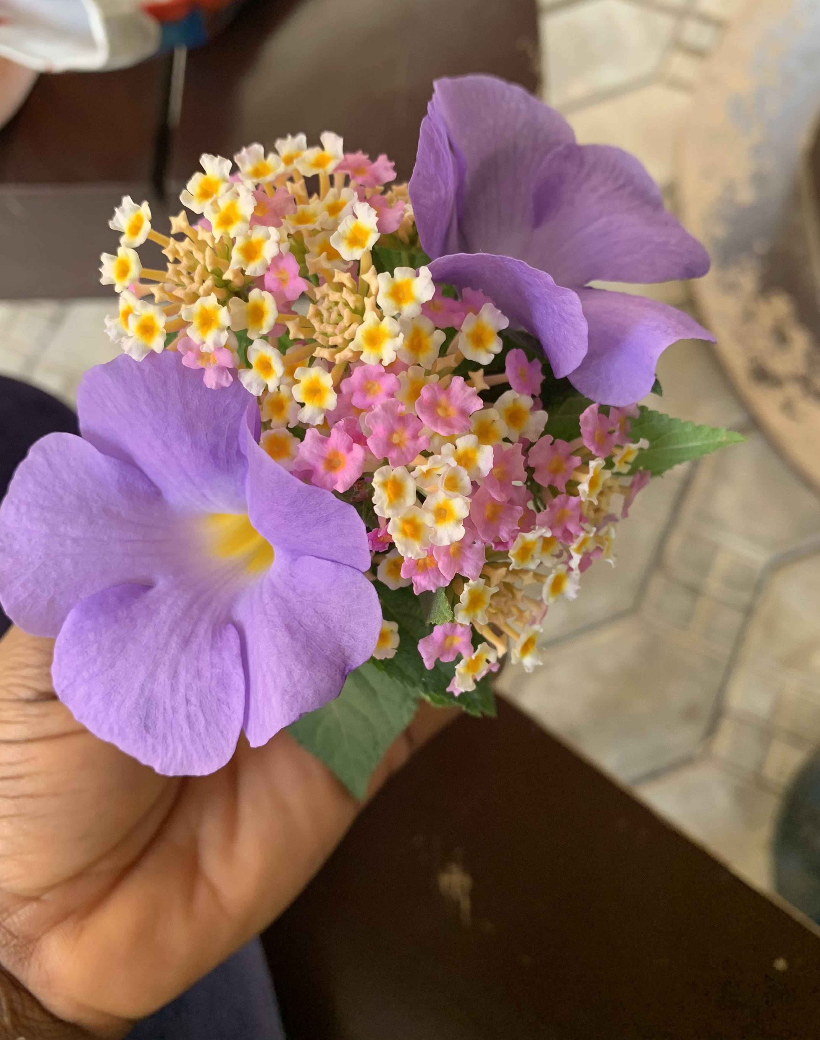 IMG_5774.jpeg
