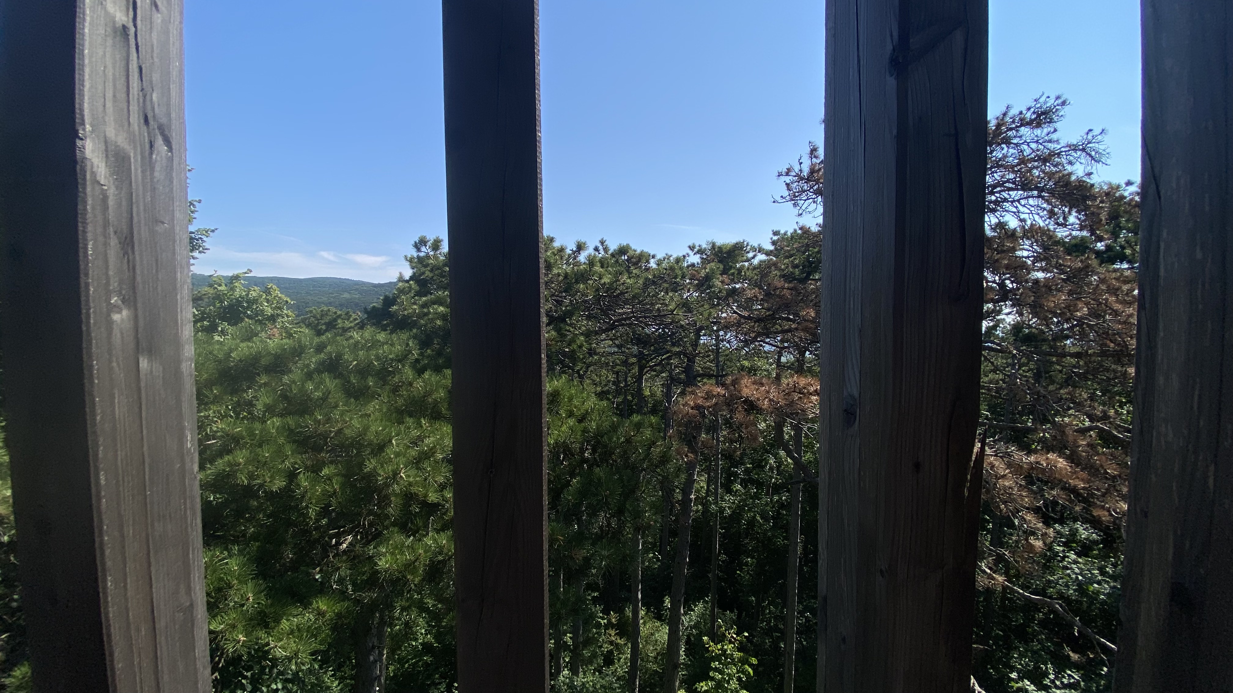 IMG_3233.jpeg