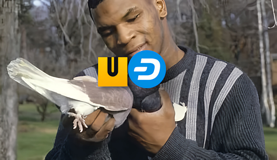 Partnership.png