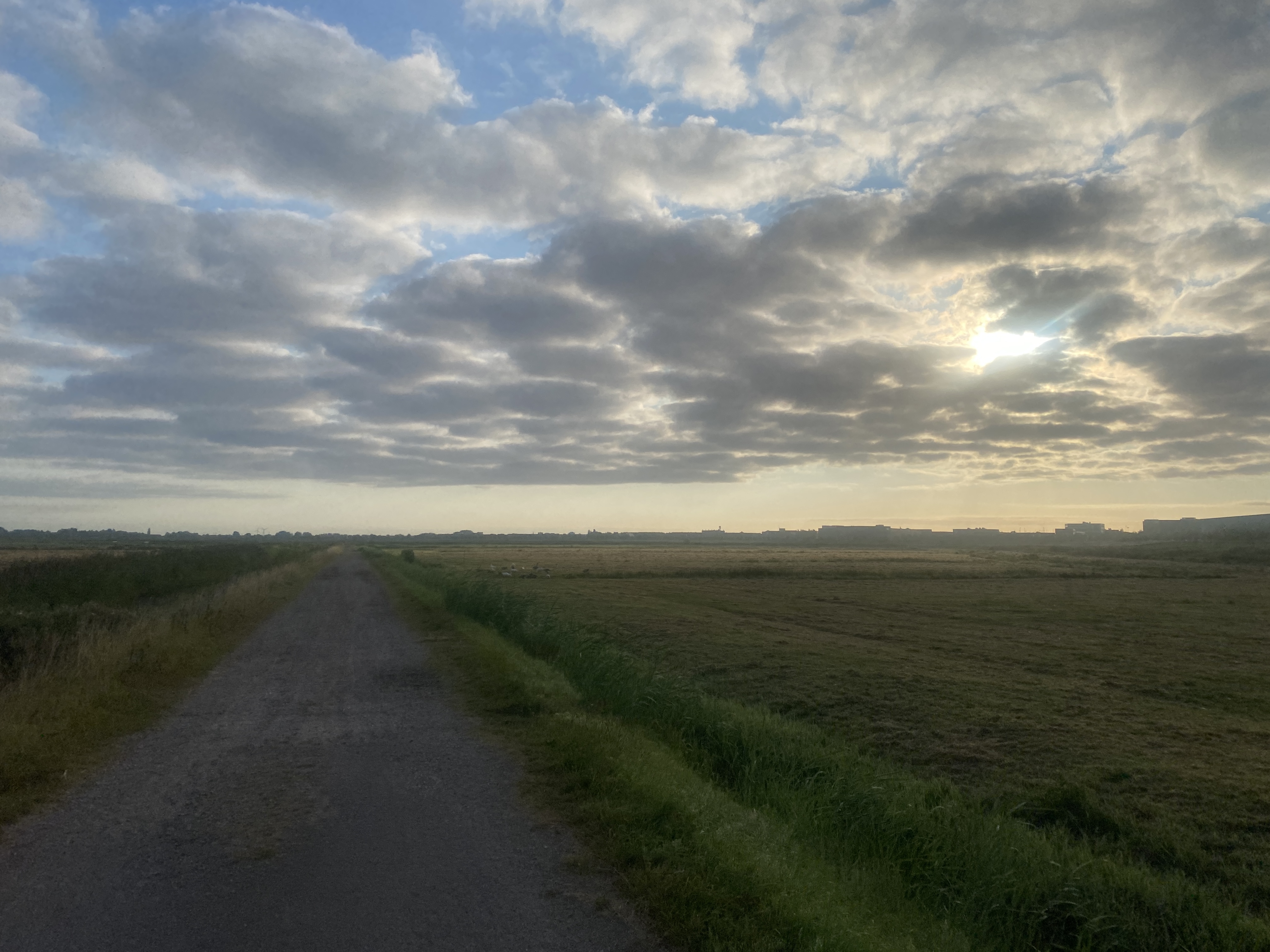 IMG_3869.jpeg