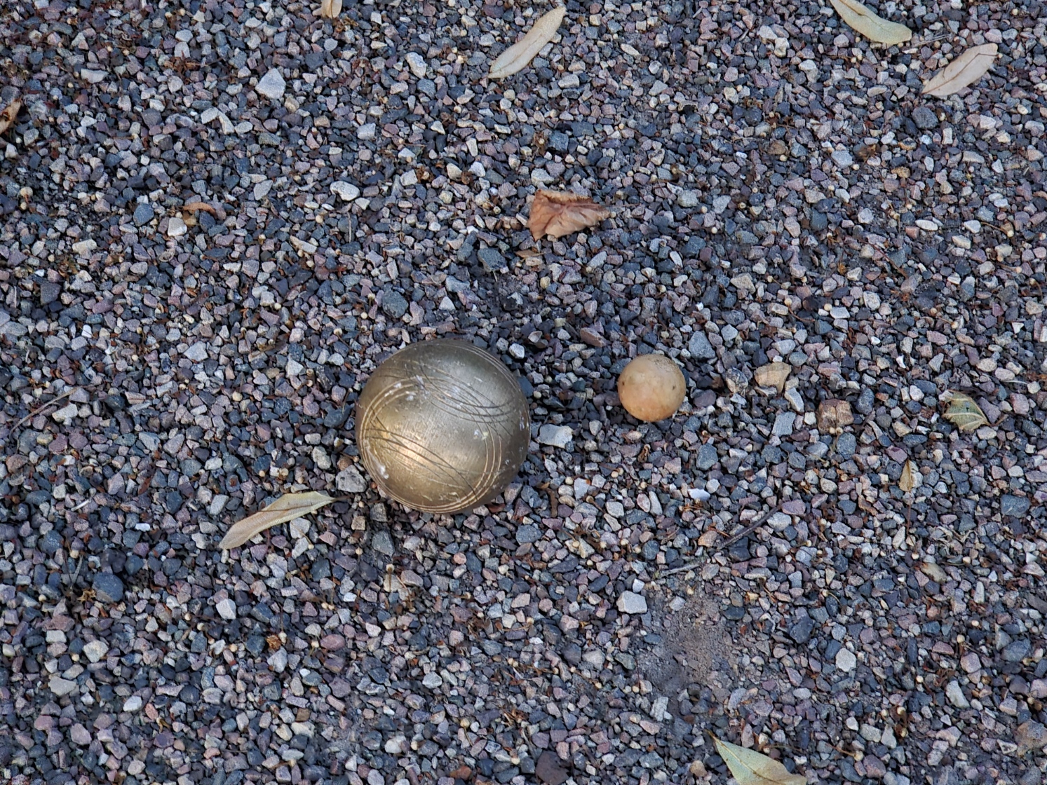 20250630_223056.jpg