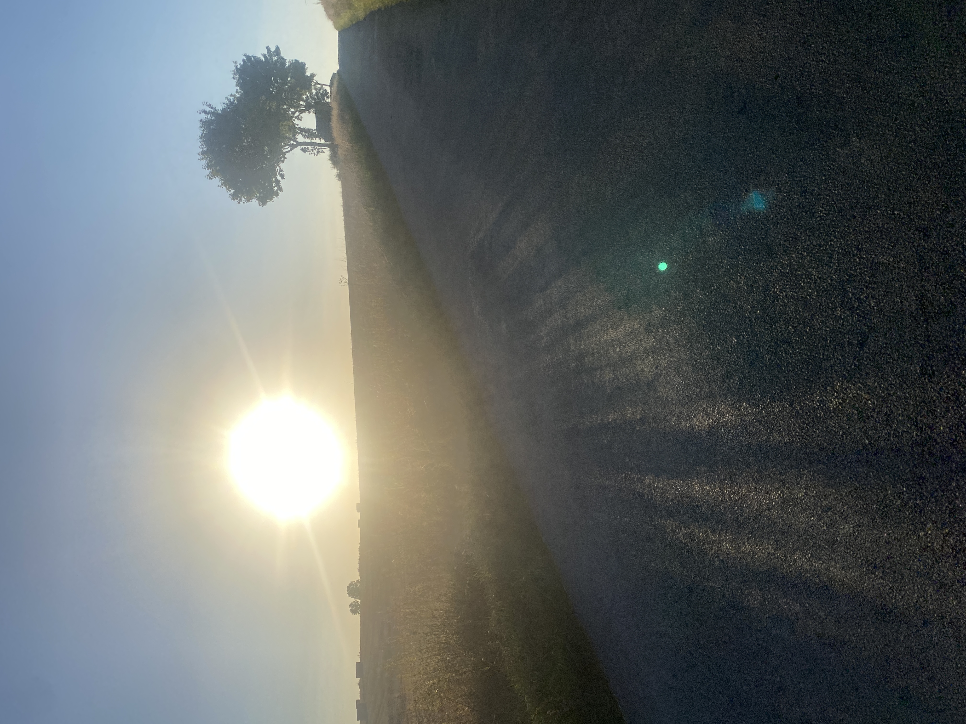 IMG_3478.jpeg