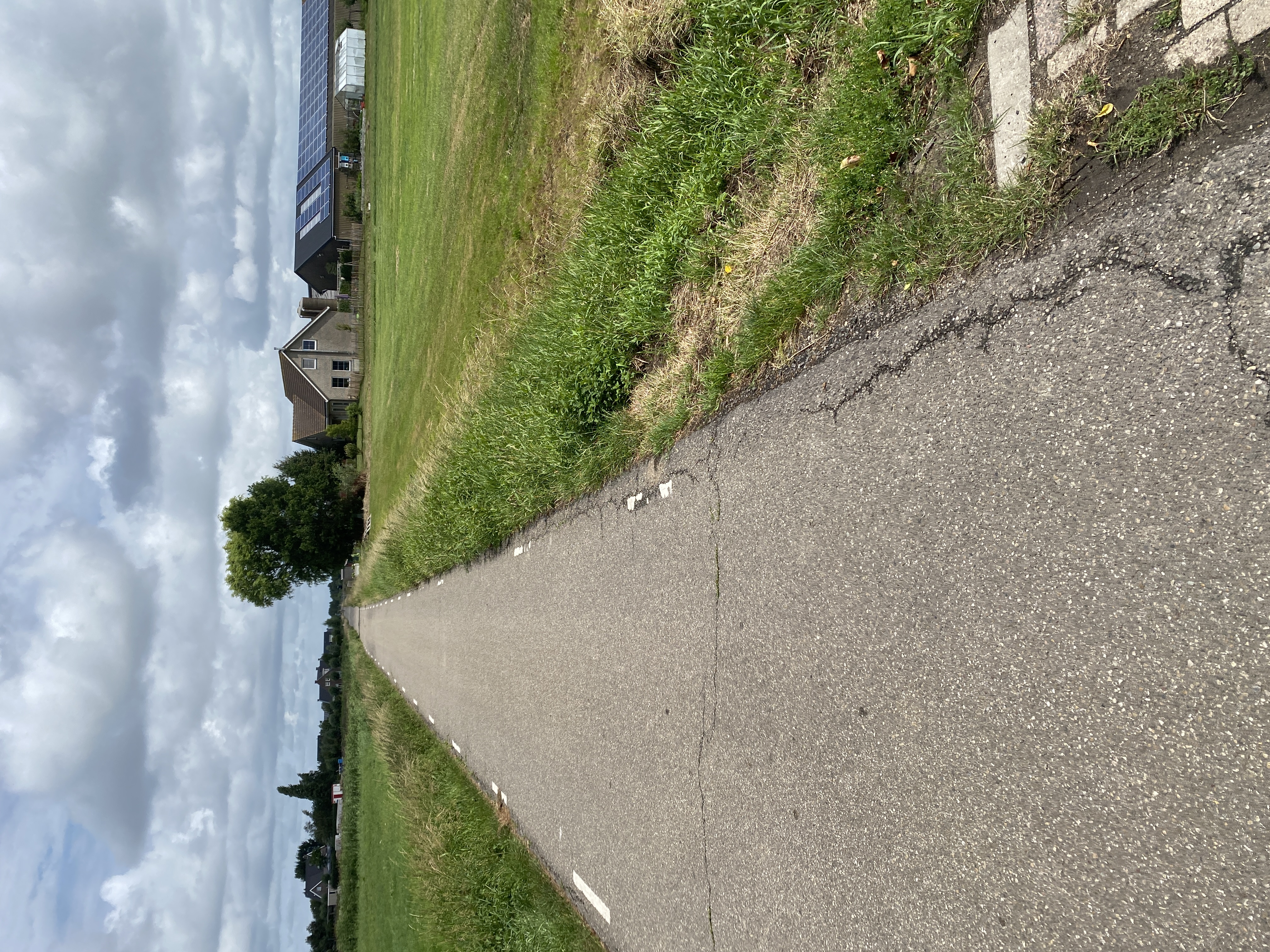 IMG_3055.jpeg