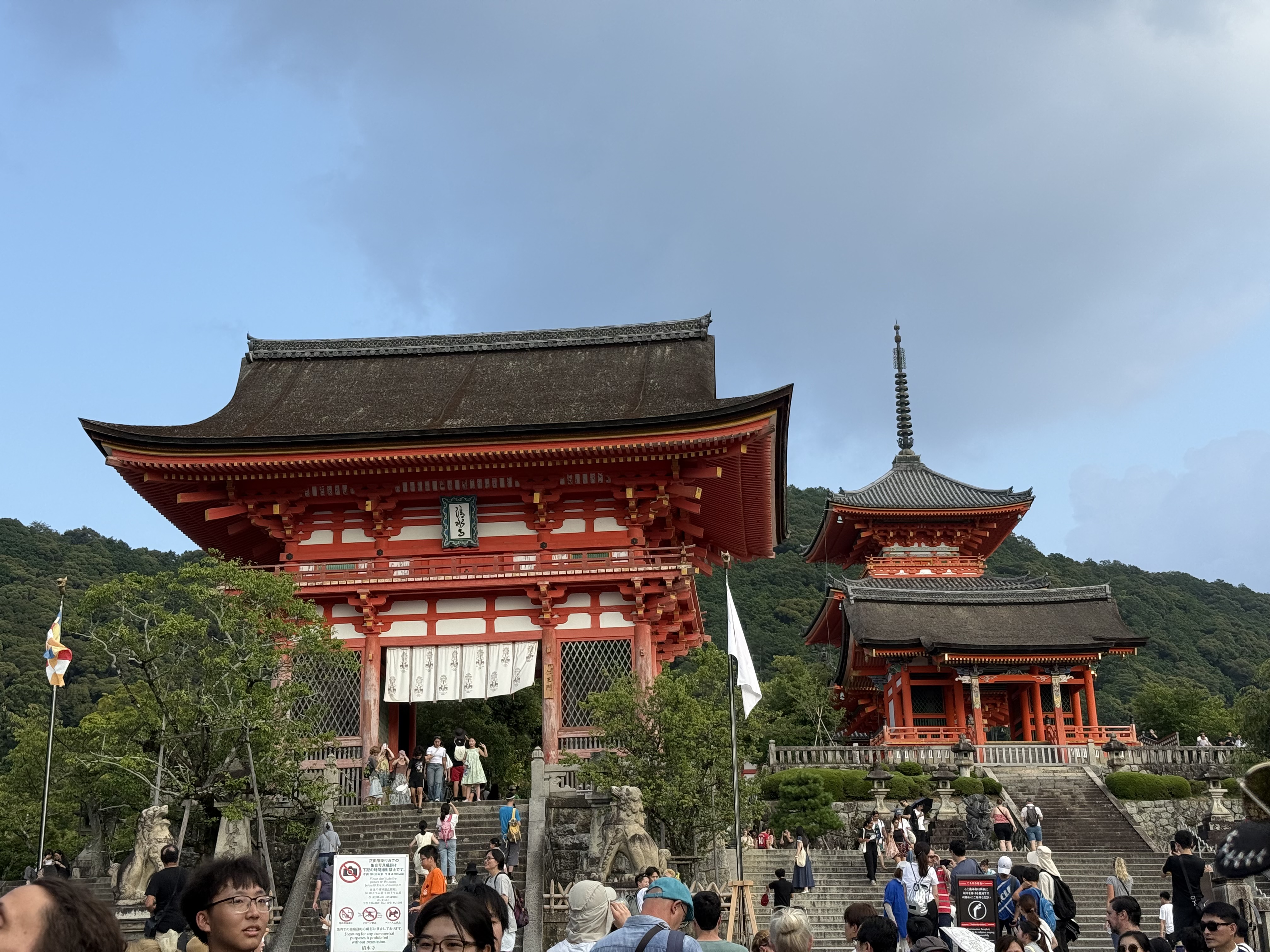 IMG_8313.jpeg