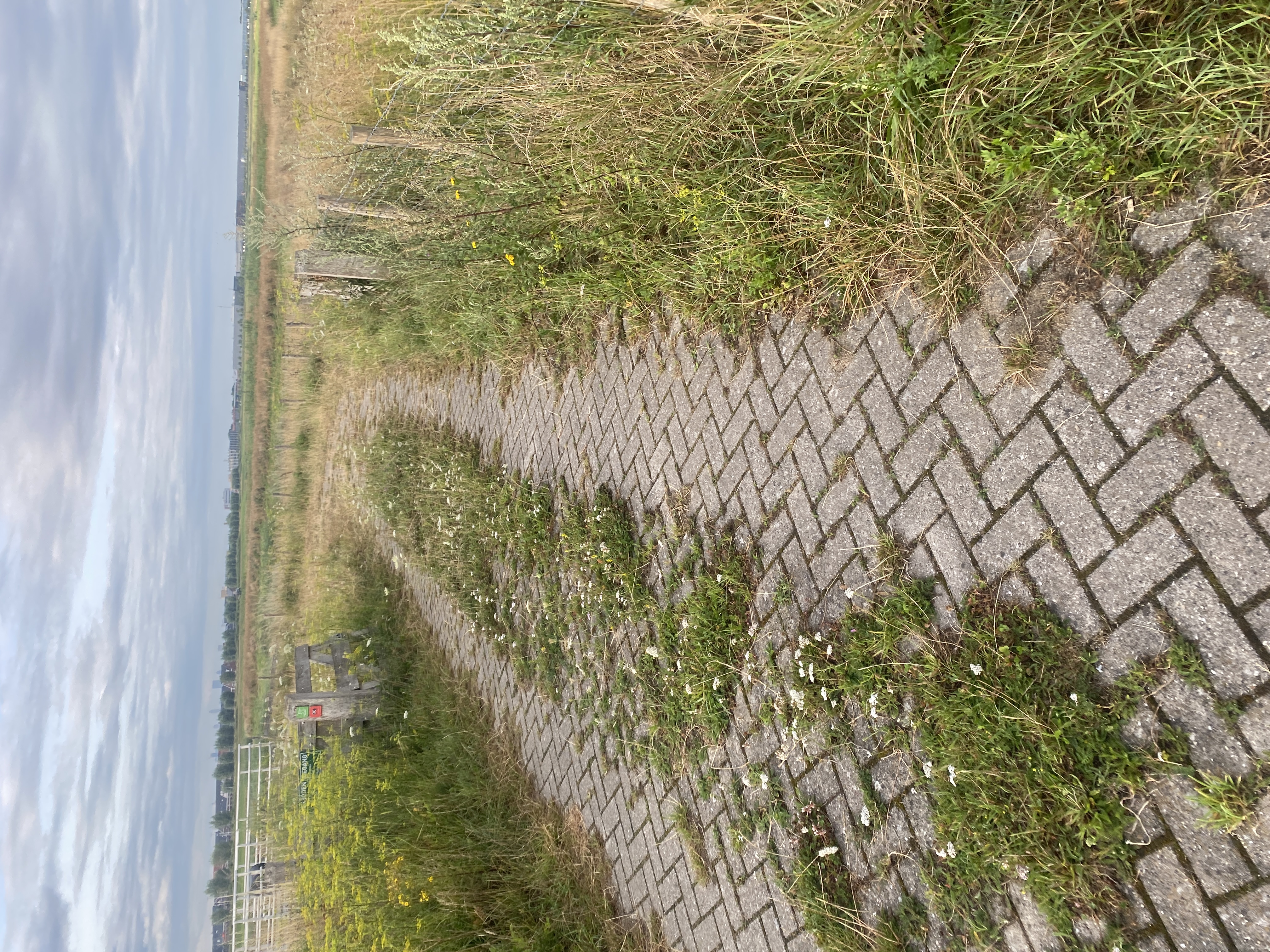 IMG_2813.jpeg
