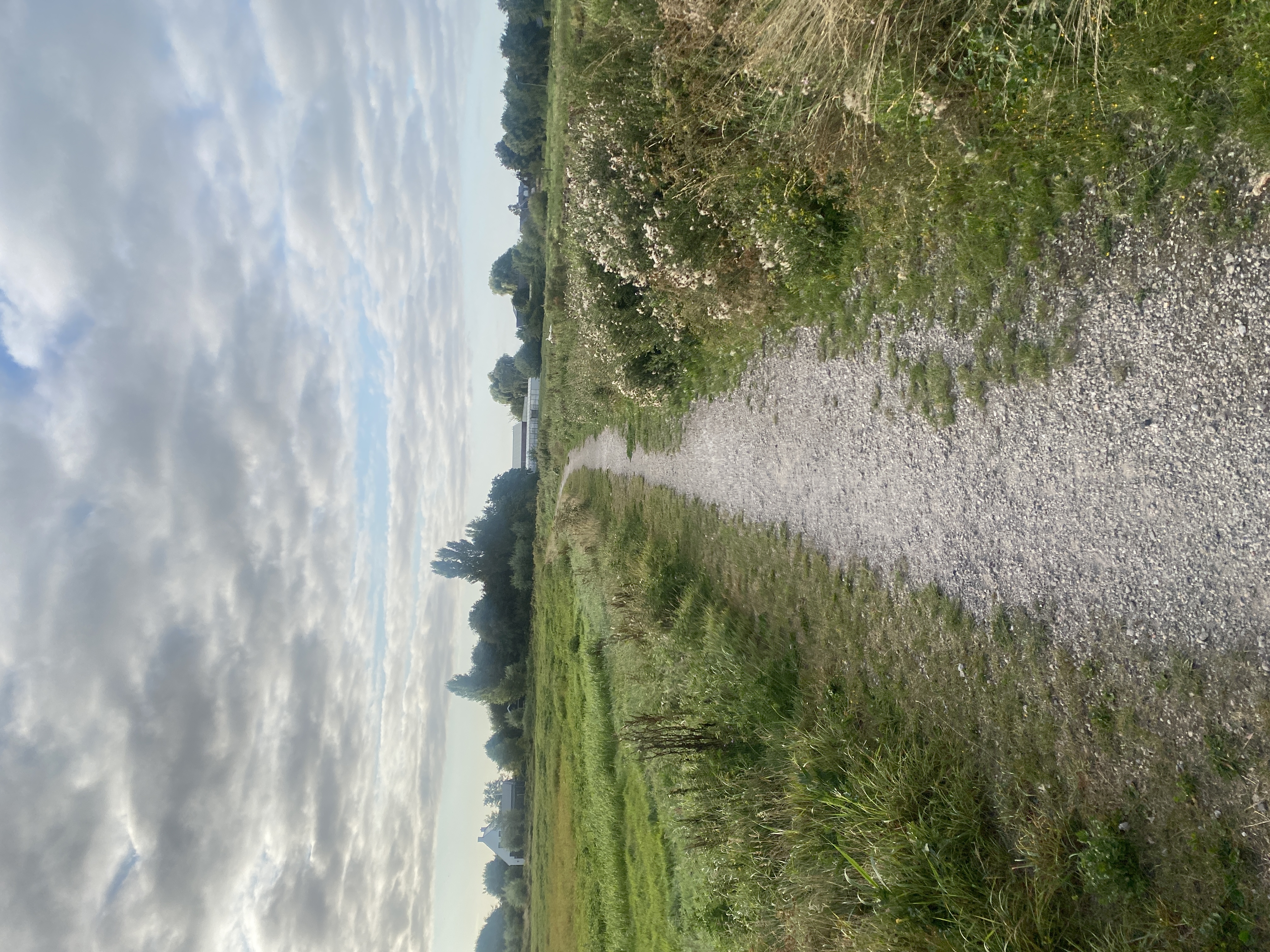 IMG_3880.jpeg