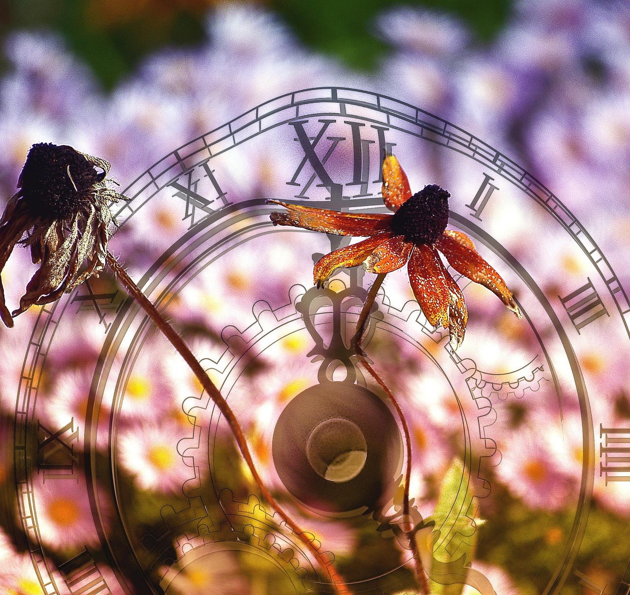 flower-629984_1280.jpg