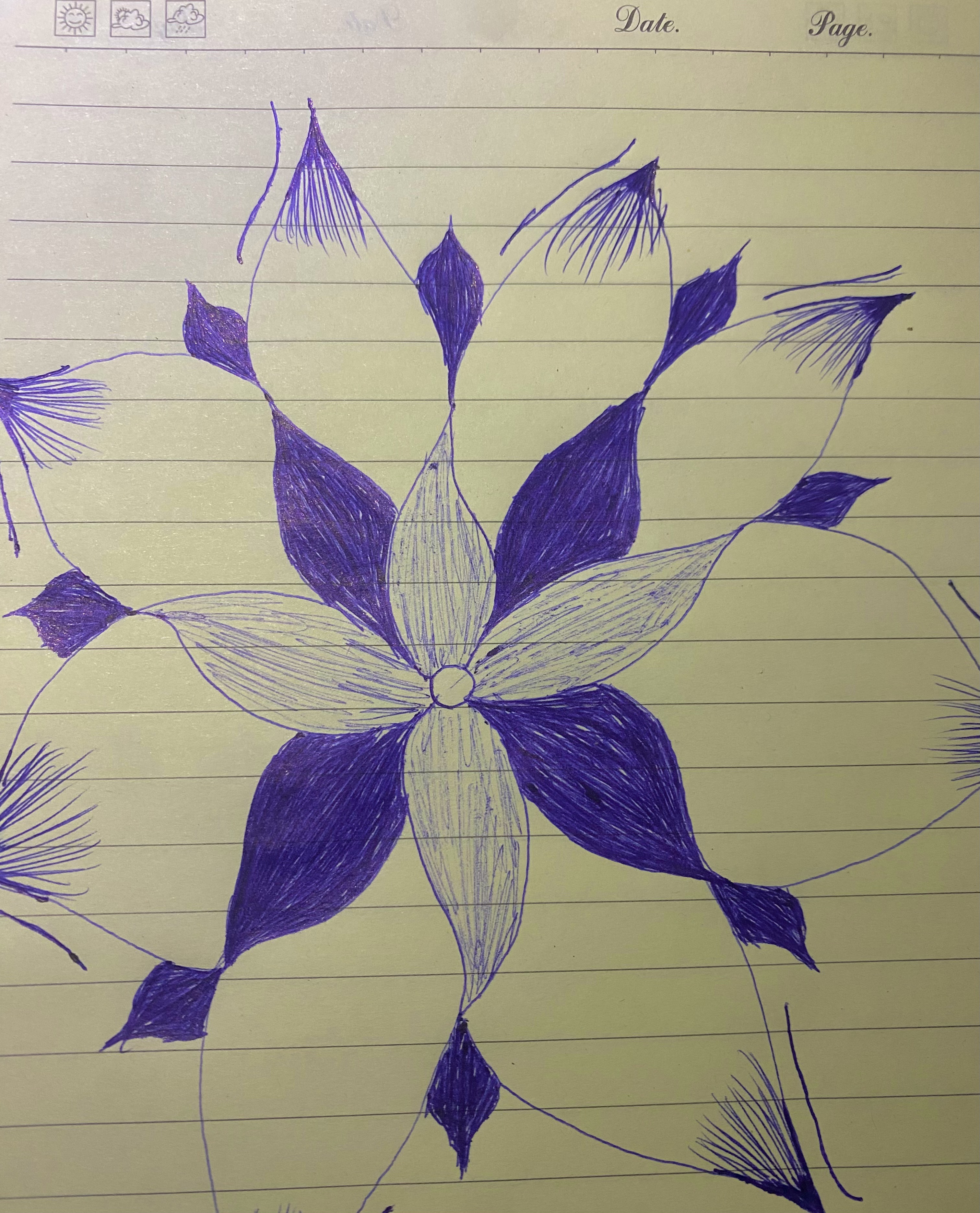 IMG_0579.jpeg