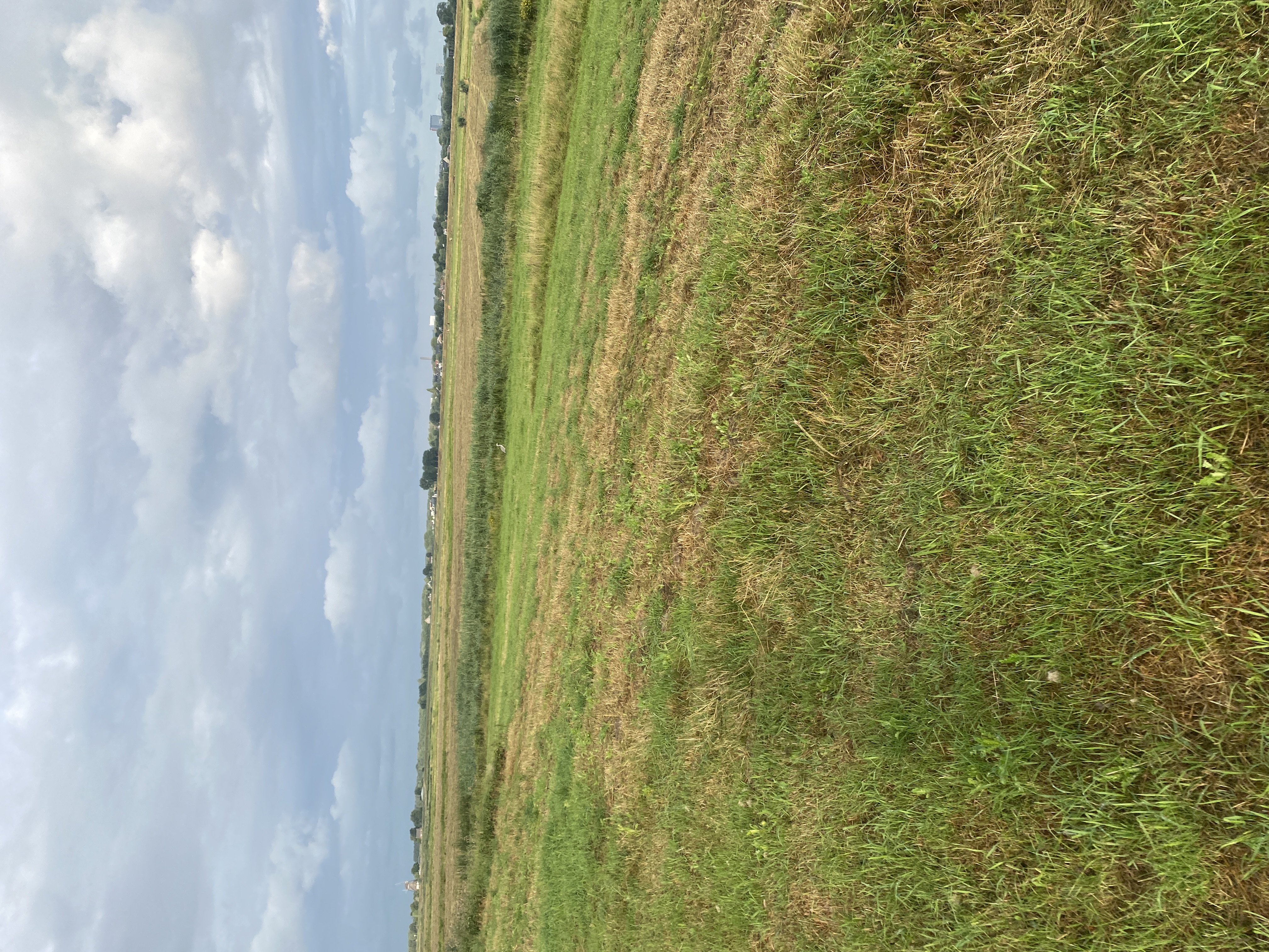 IMG_2827.jpeg