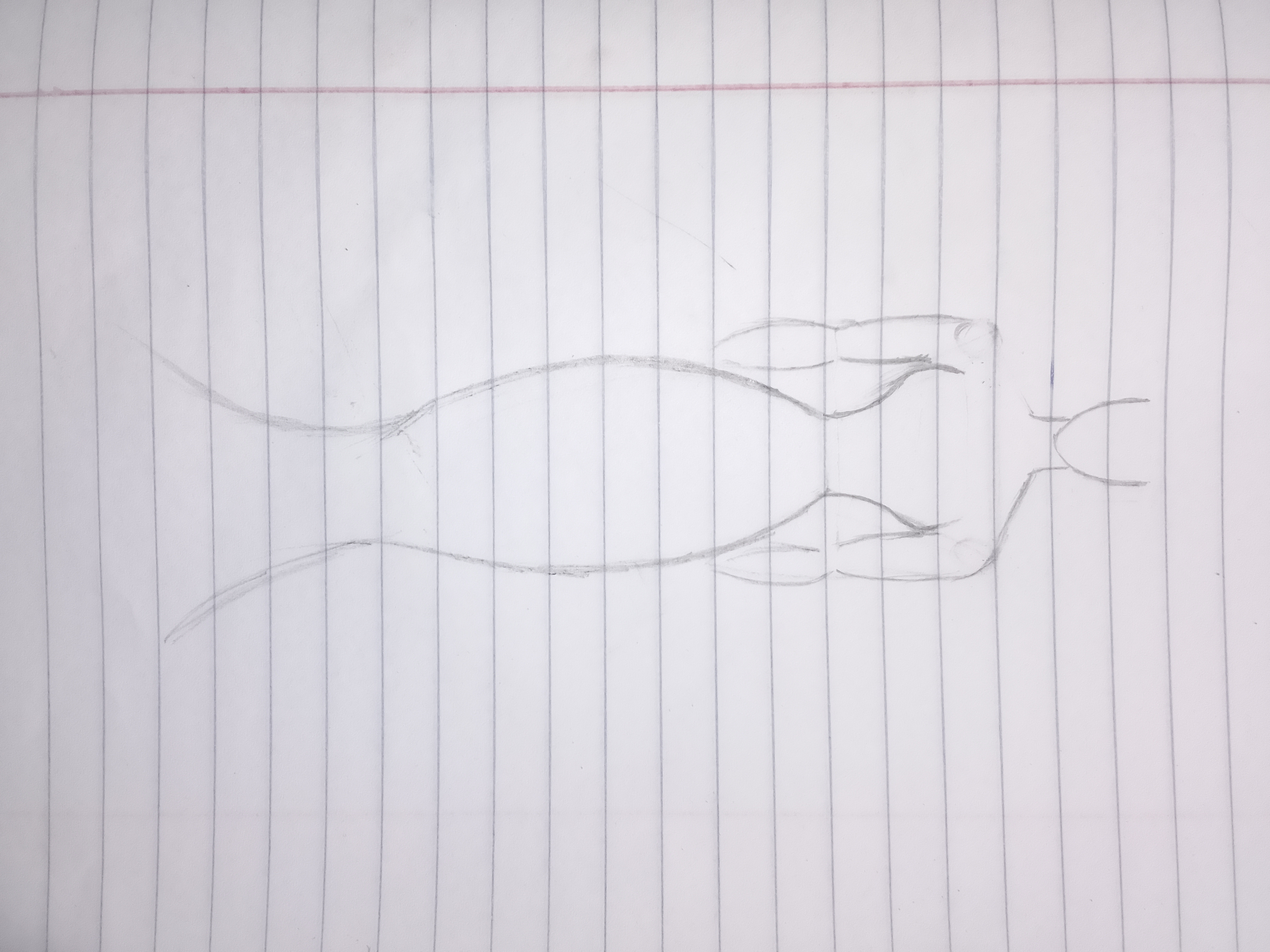 1000050268.jpg