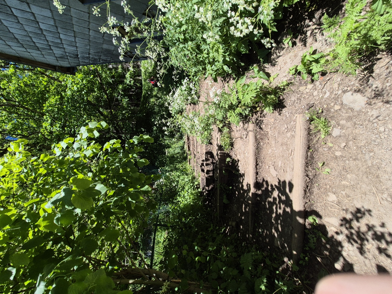 20250530_153532.jpg