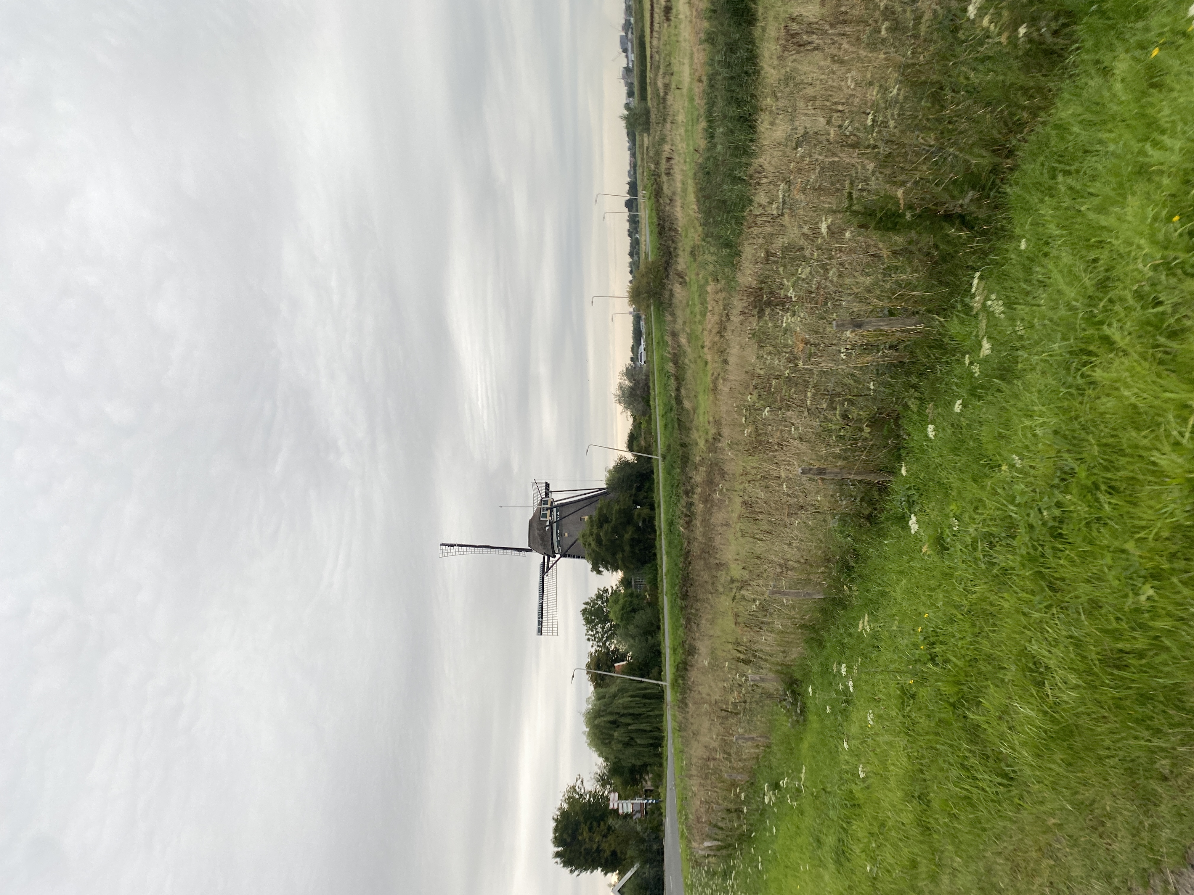 IMG_3339.jpeg