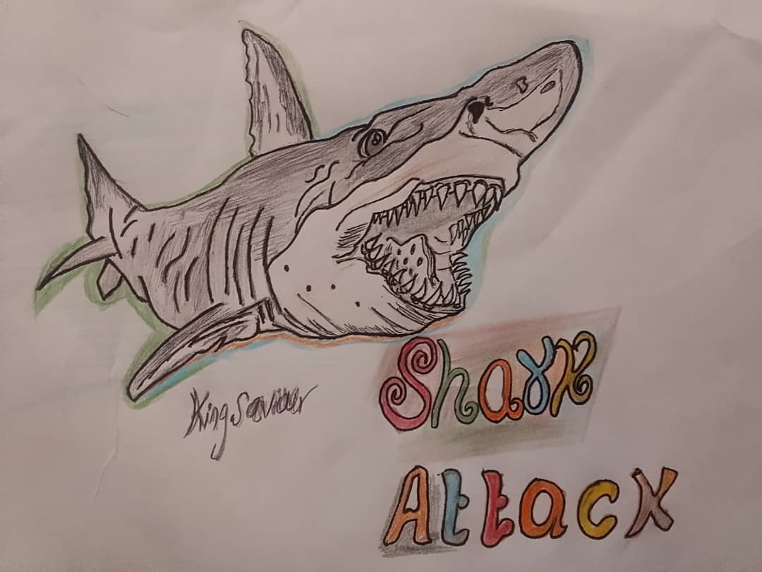 shark%201.jpg
