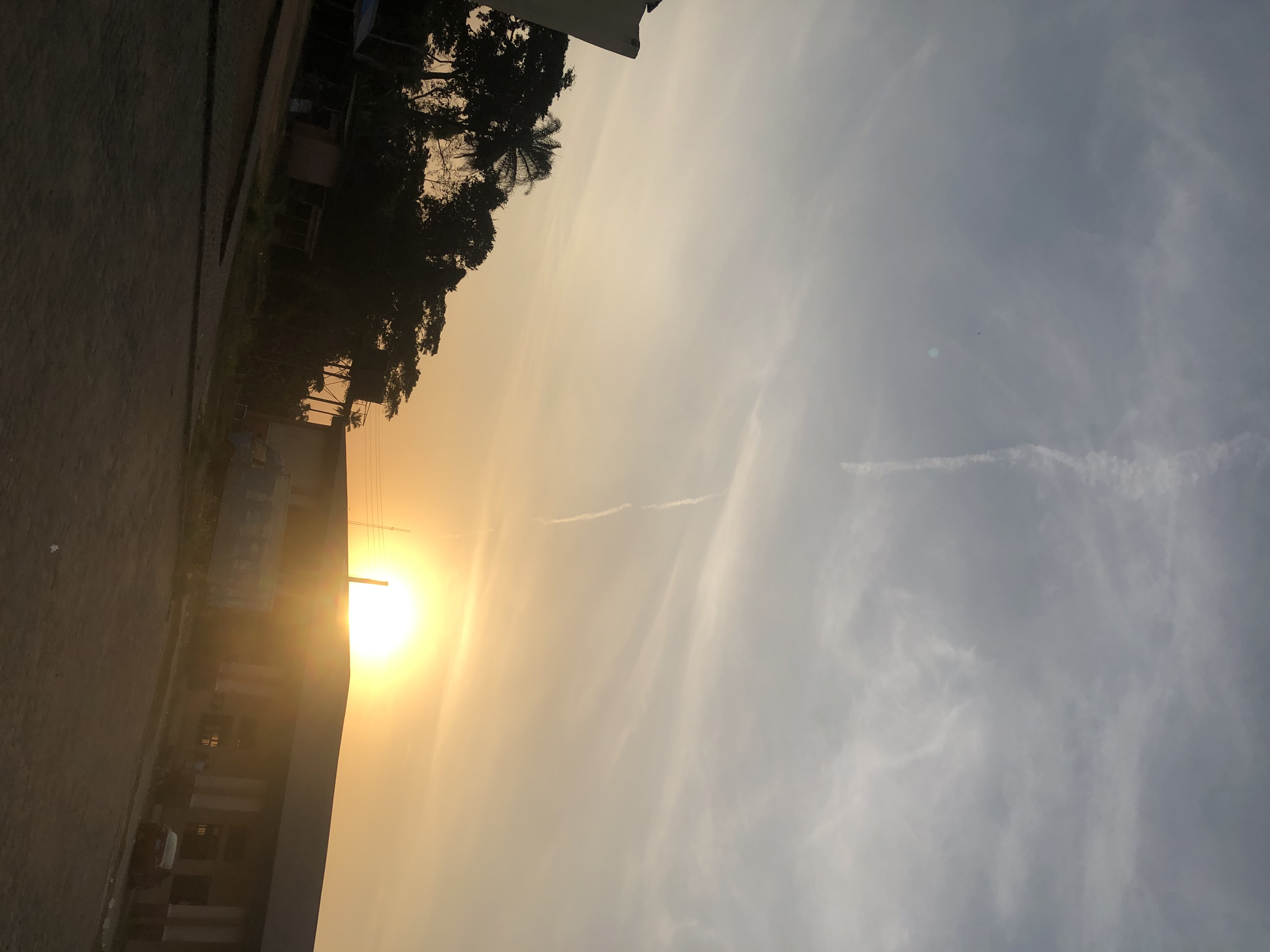 IMG_1434.jpeg