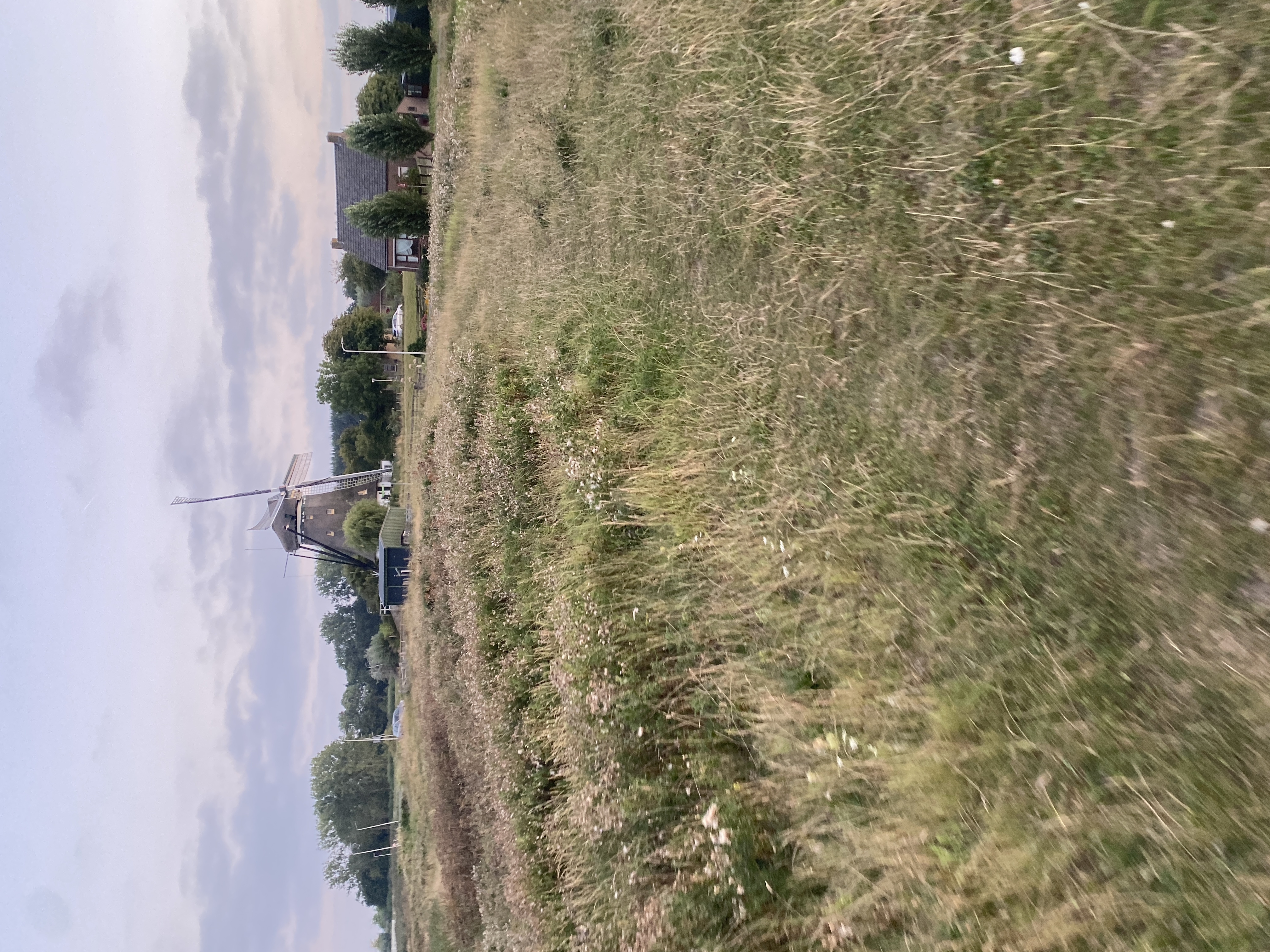 IMG_3836.jpeg