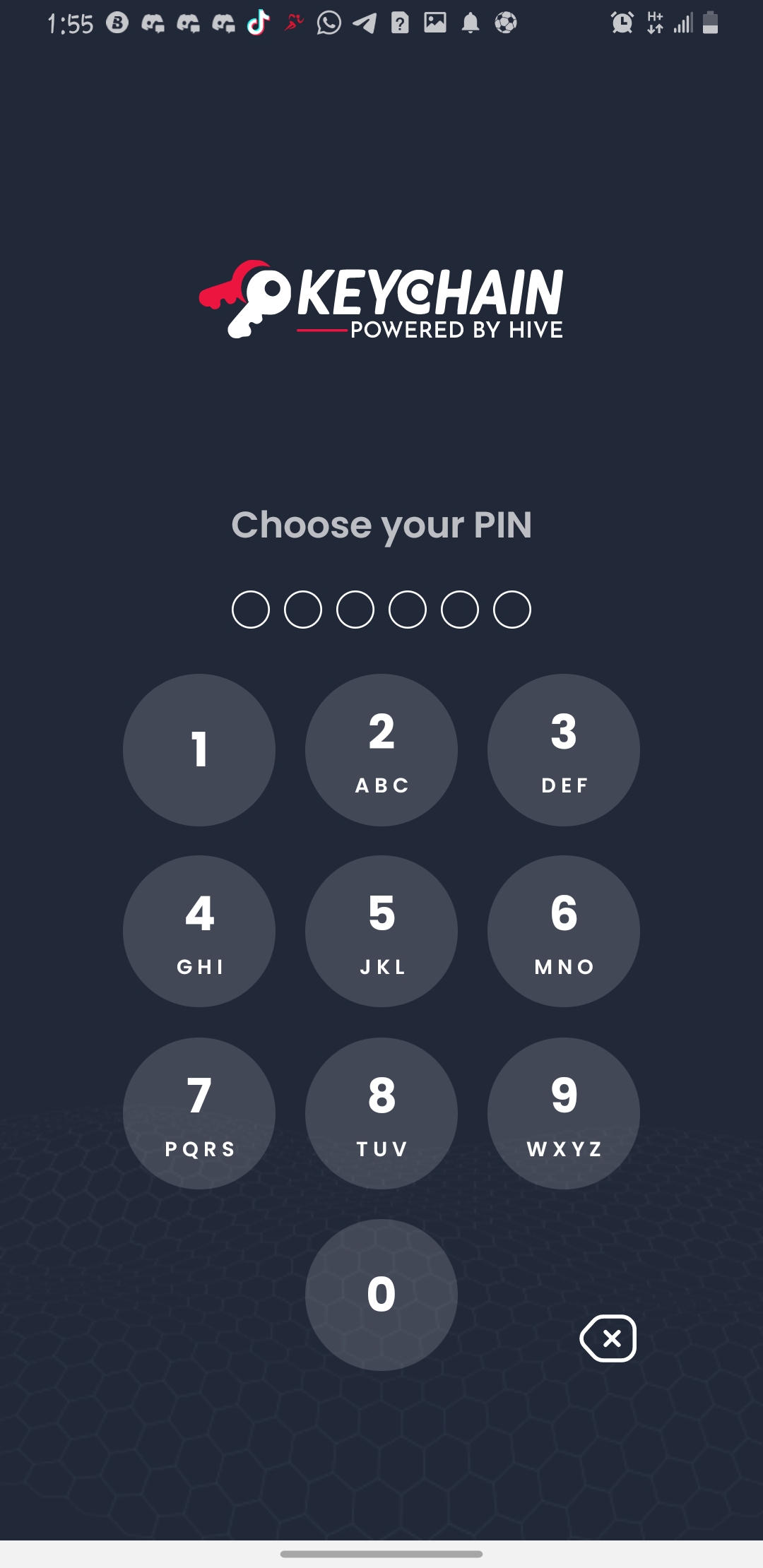 Screenshot_20250920-135543_Hive%20Keychain.jpg
