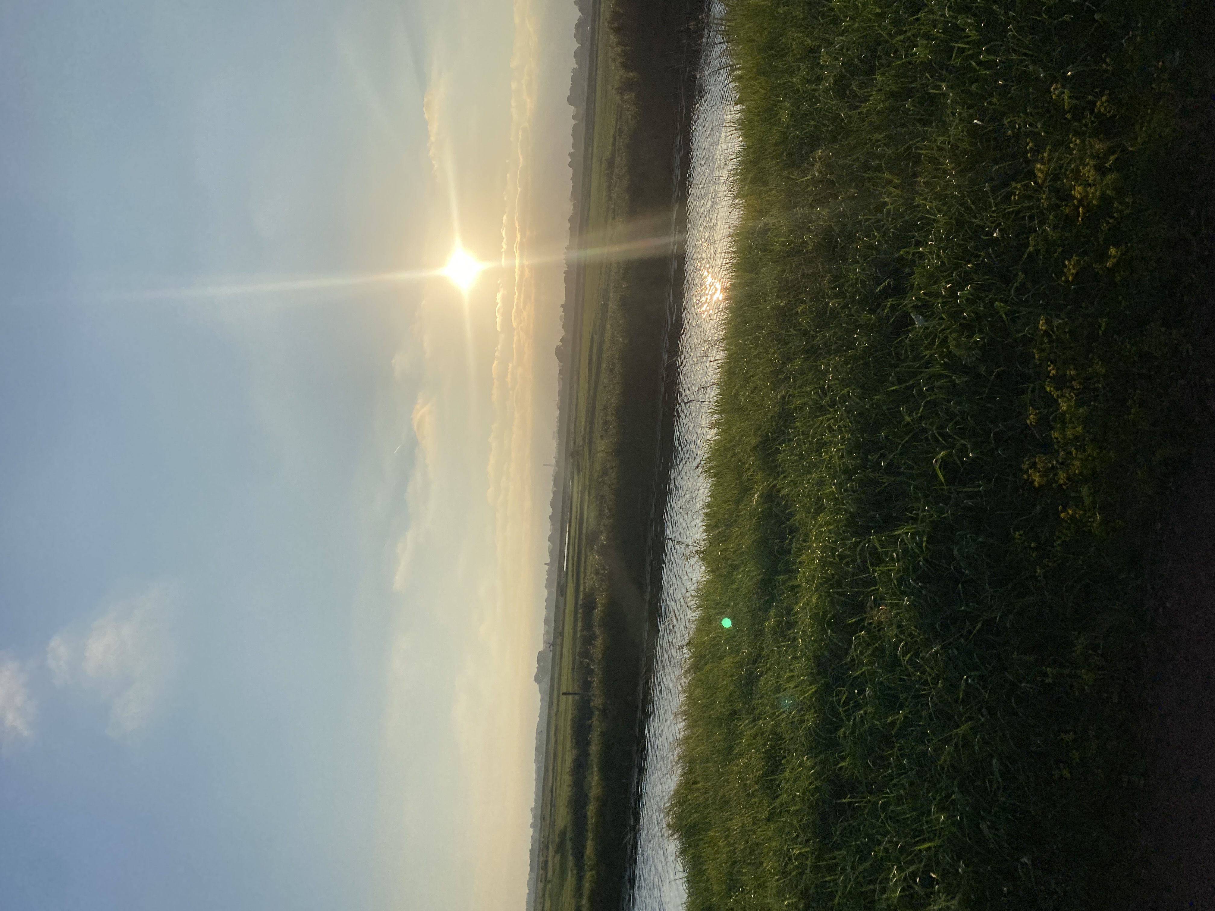 IMG_3808.jpeg