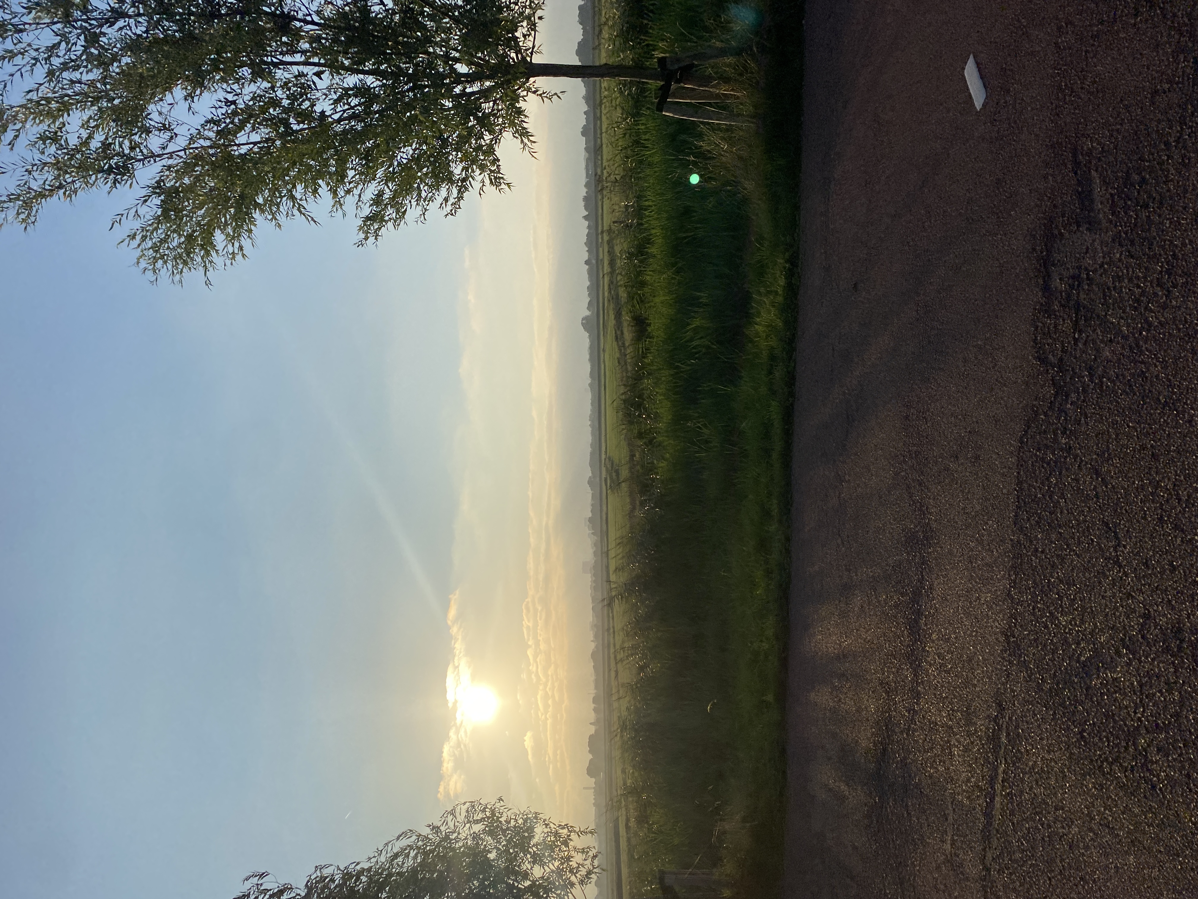 IMG_3804.jpeg
