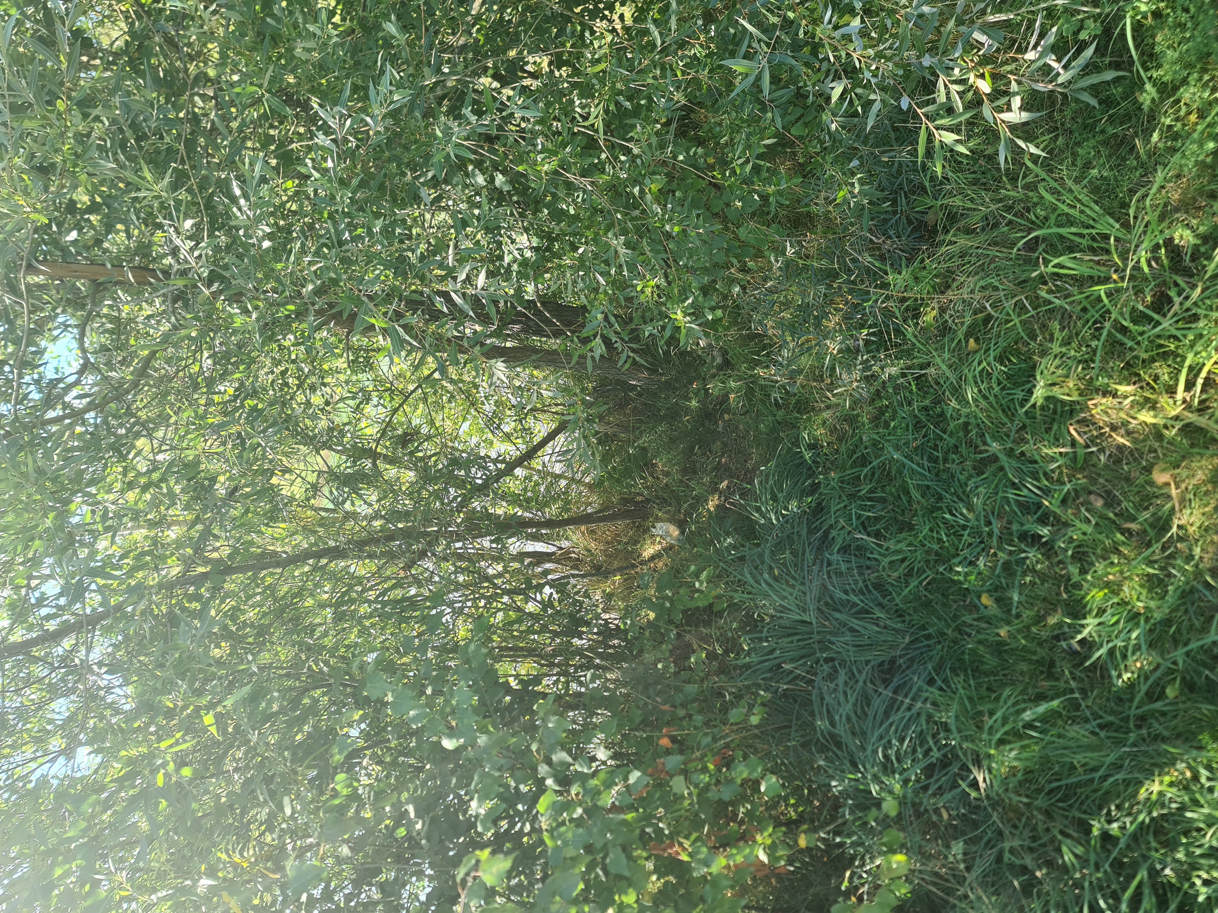 20250907_135325.jpg