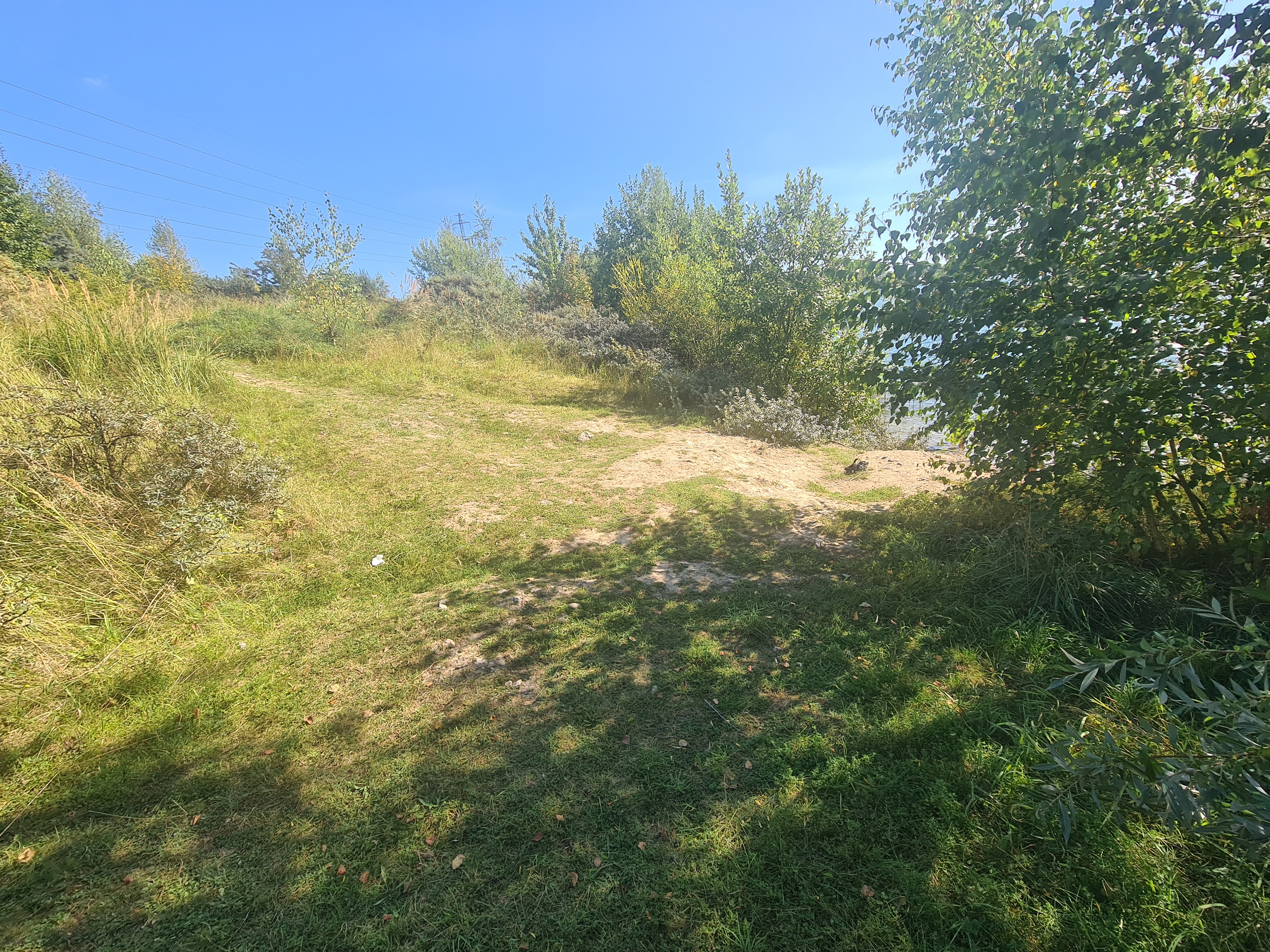 20250907_135437.jpg
