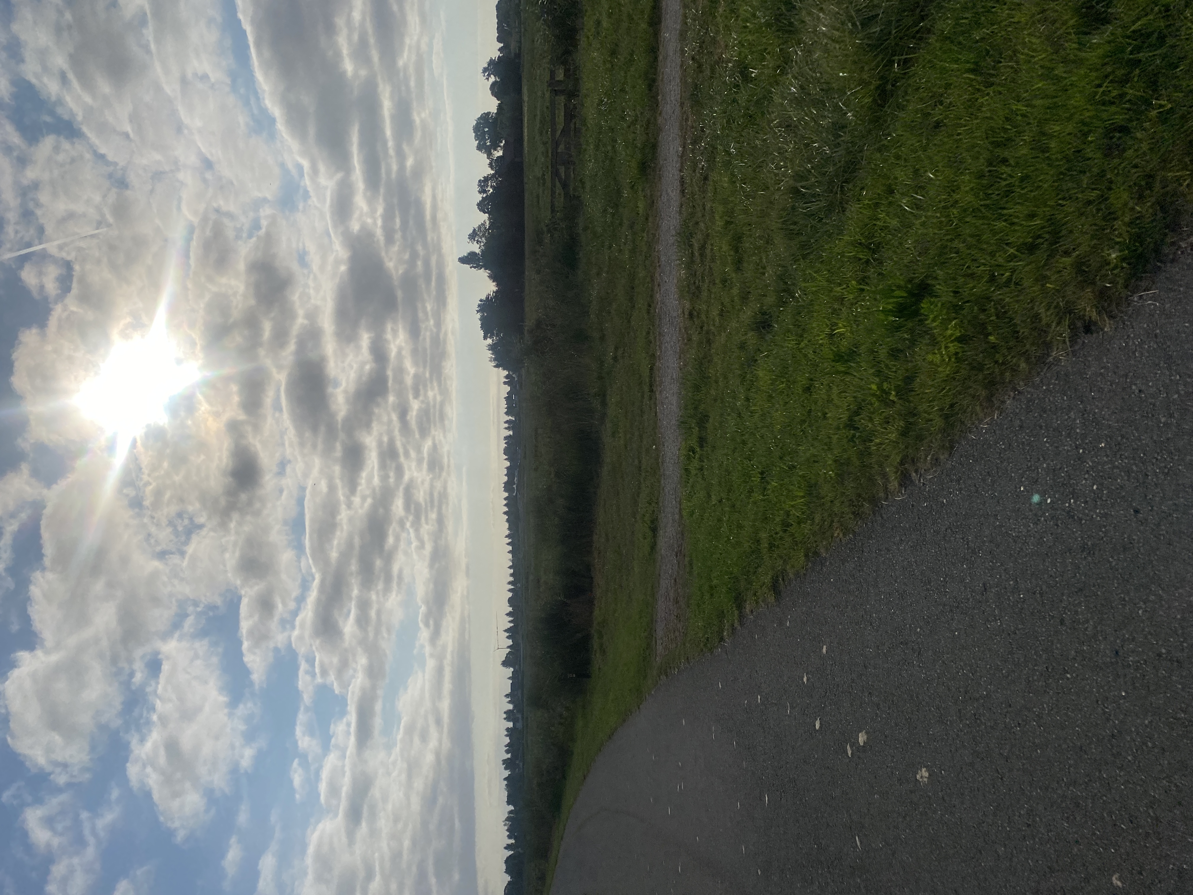 IMG_3890.jpeg