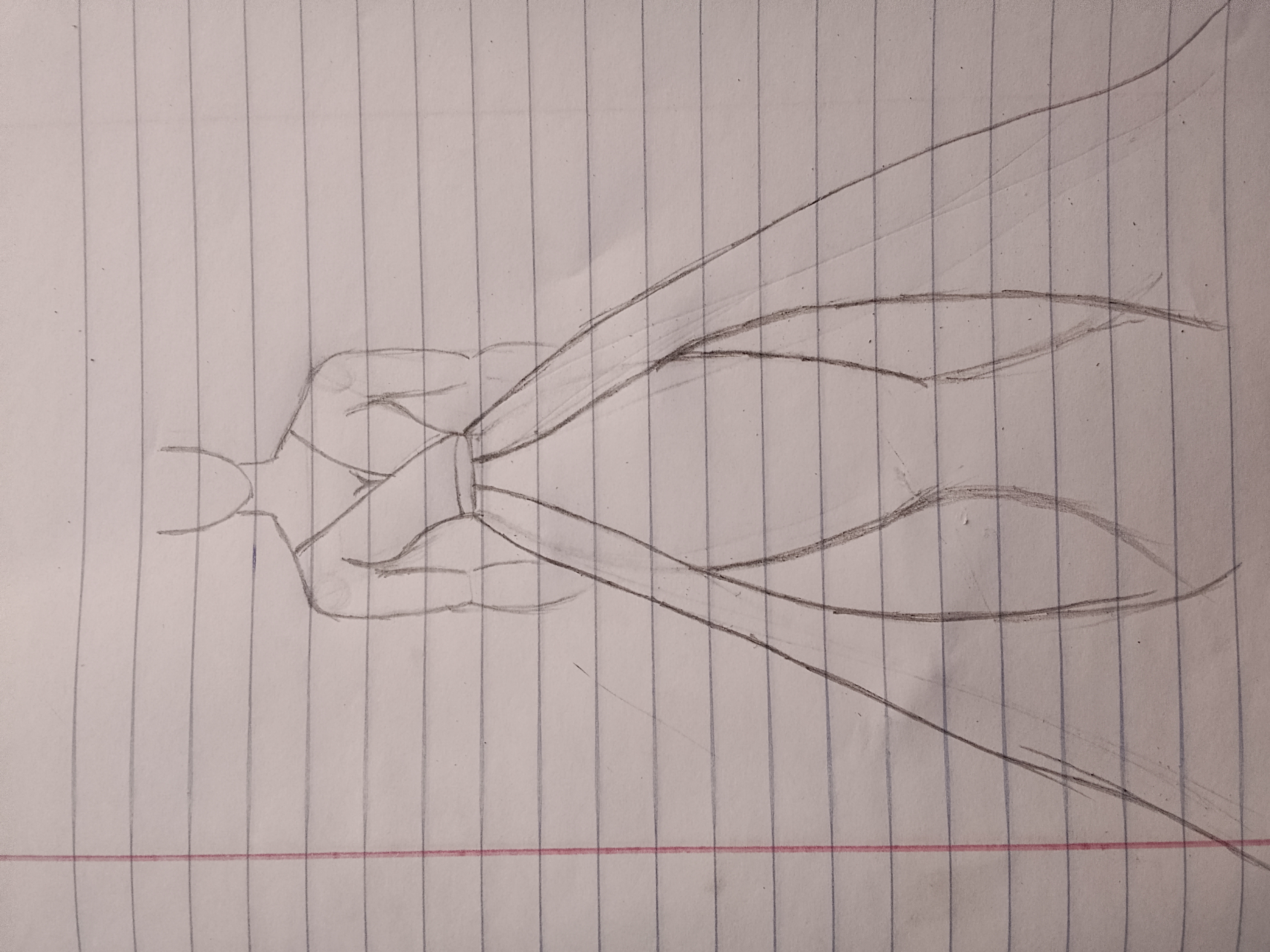1000050271.jpg