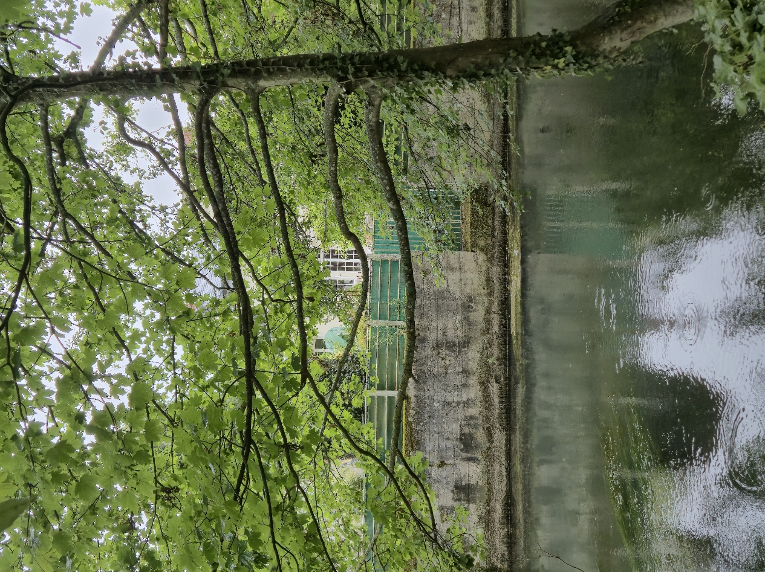 20250716_164230.jpg