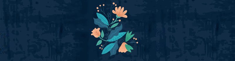 banner.gif
