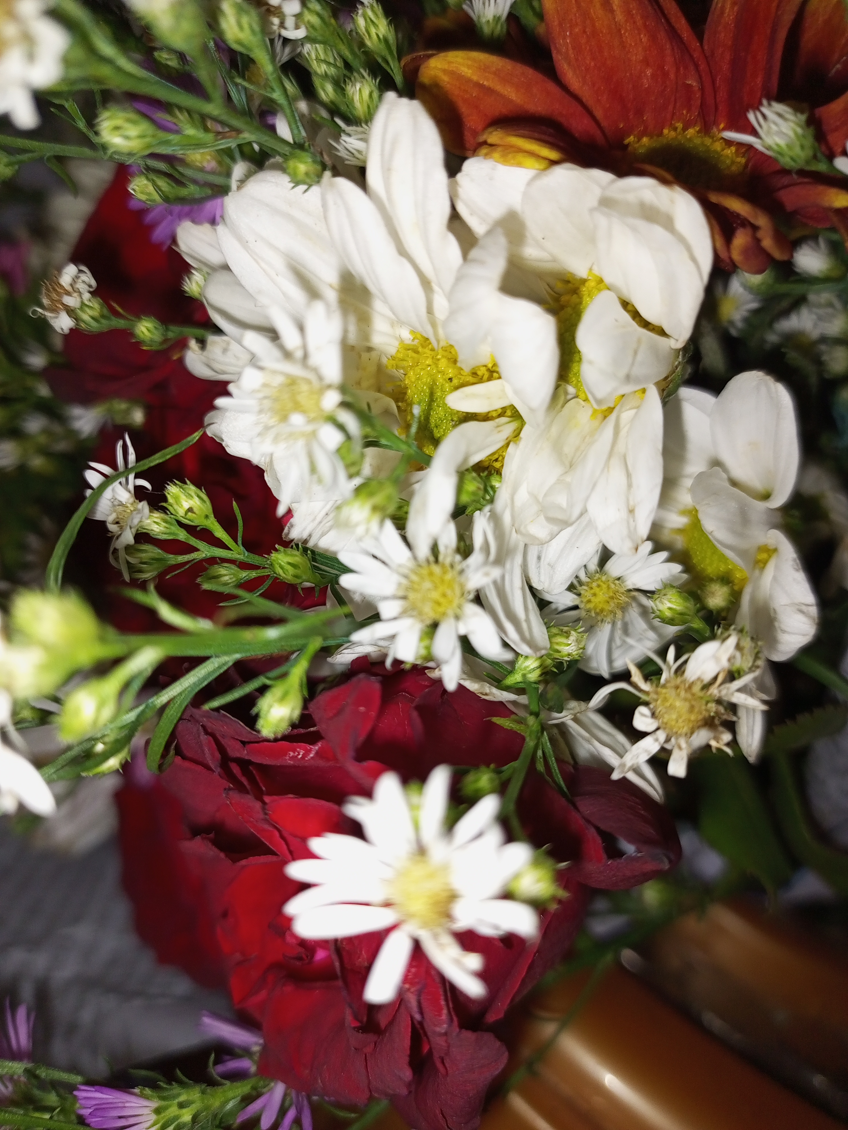 IMG_20230402_130610_398.jpg