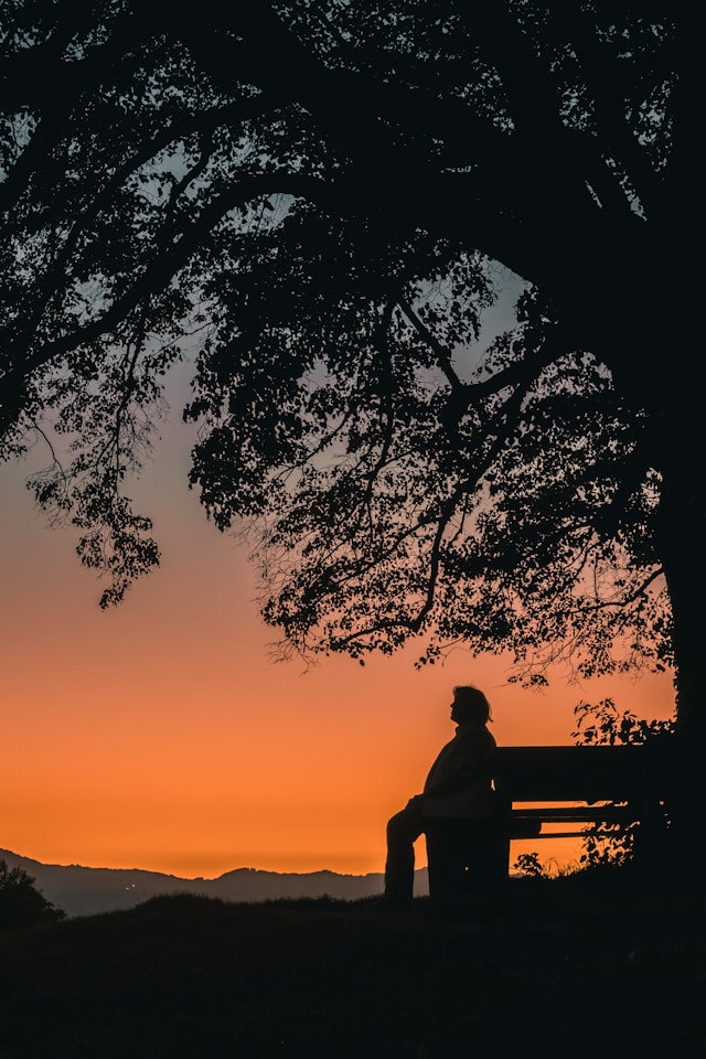 free-walking-tour-salzburg-fWiJ8gWRjRQ-unsplash.jpg