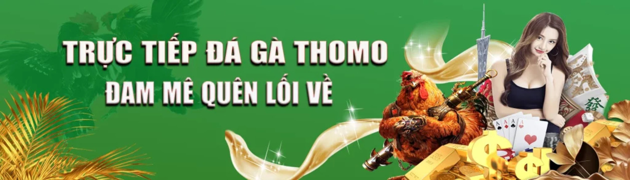 Đá gà trực tiếp thomo's cover