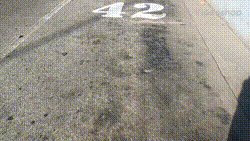 Image from thread