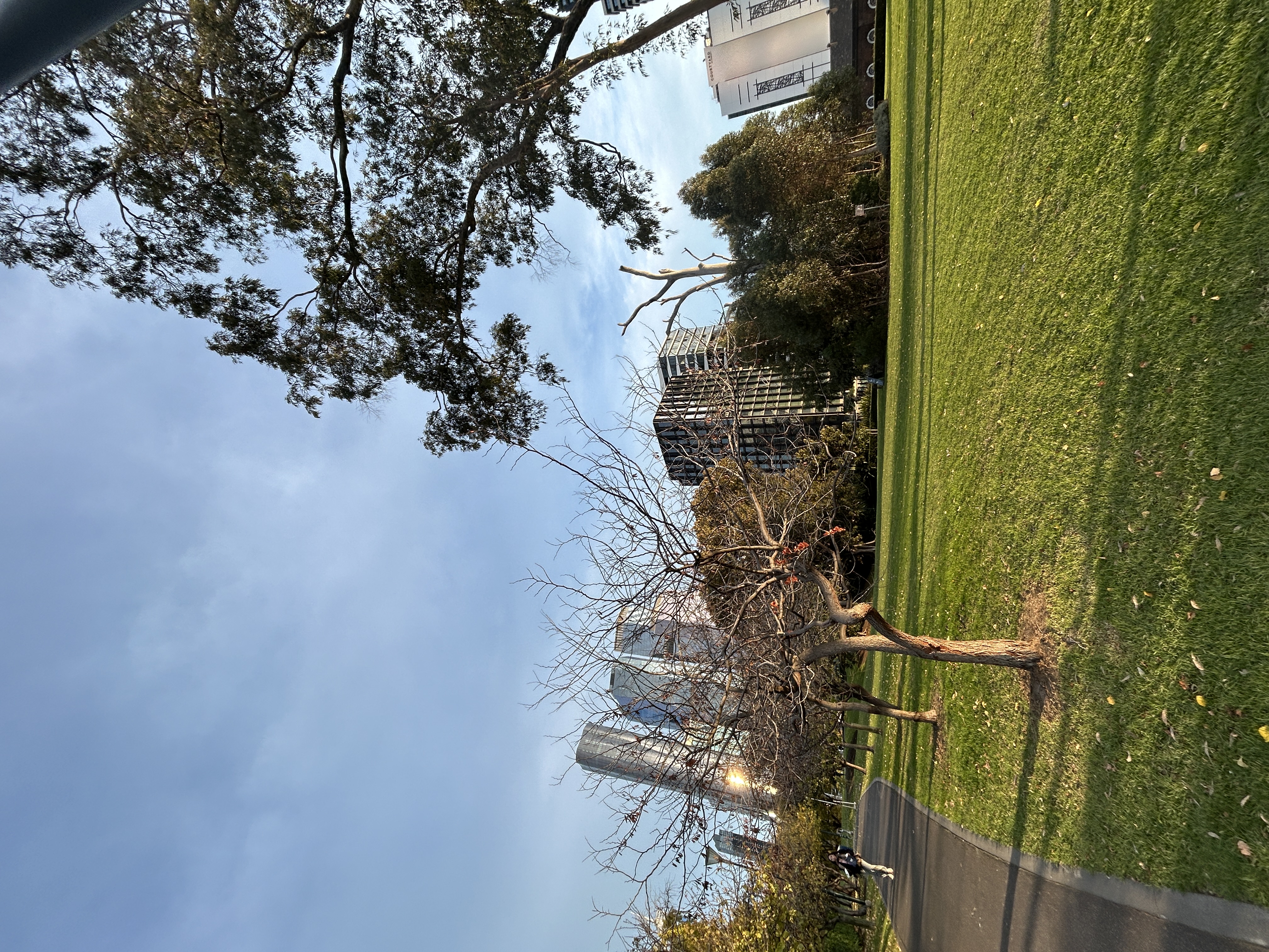 IMG_6277.jpeg