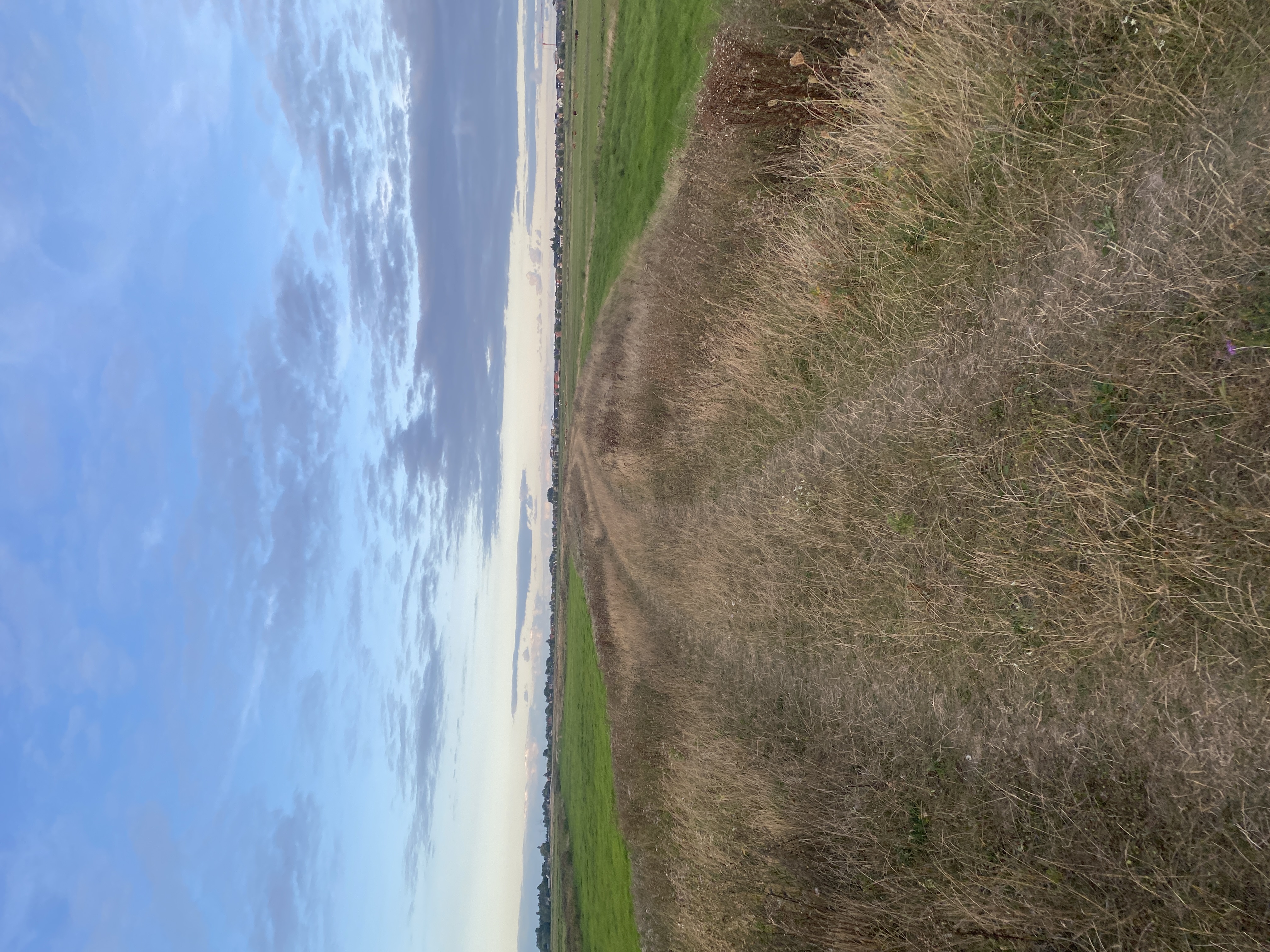 IMG_4133.jpeg