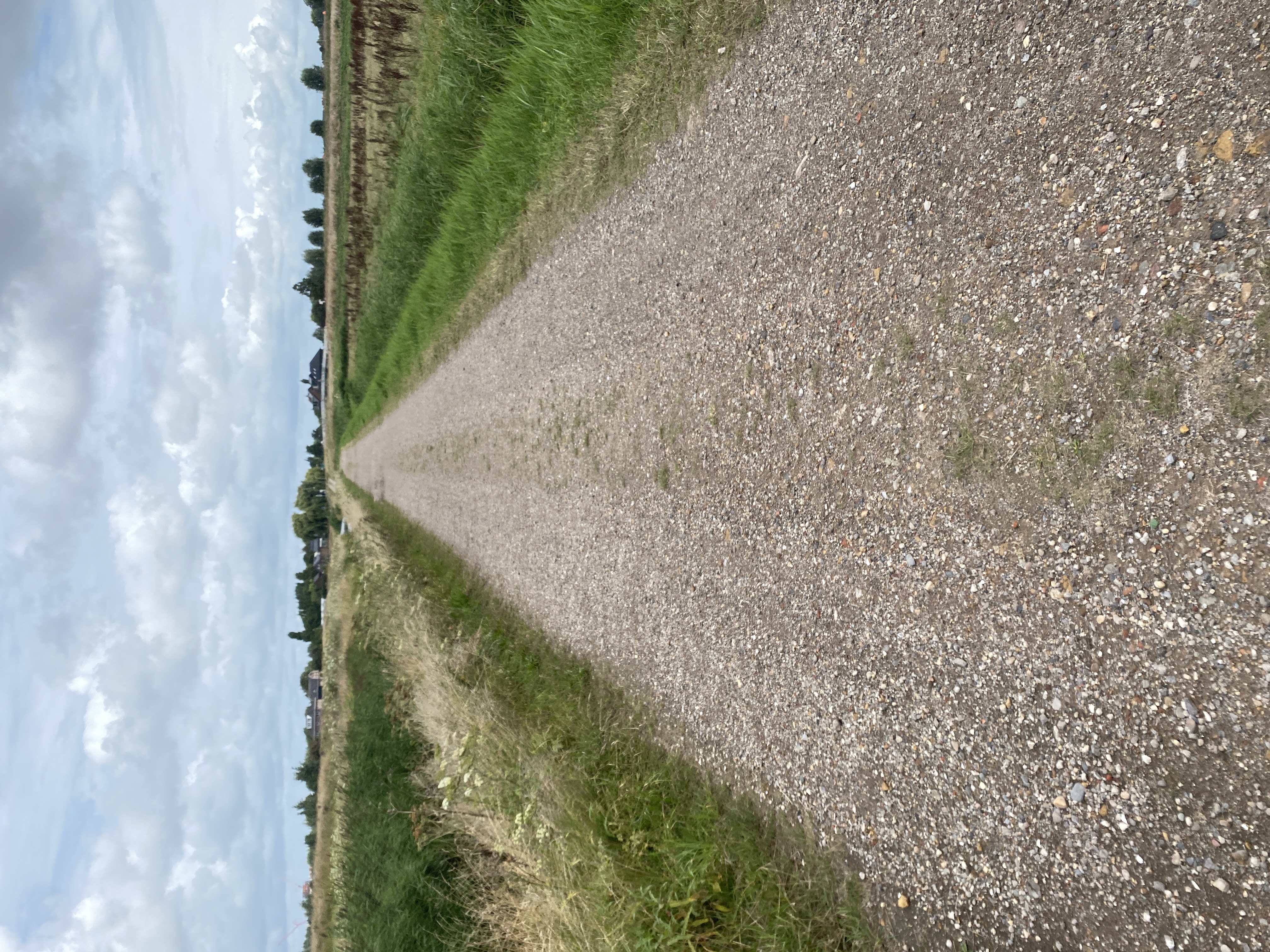 IMG_3038.jpeg