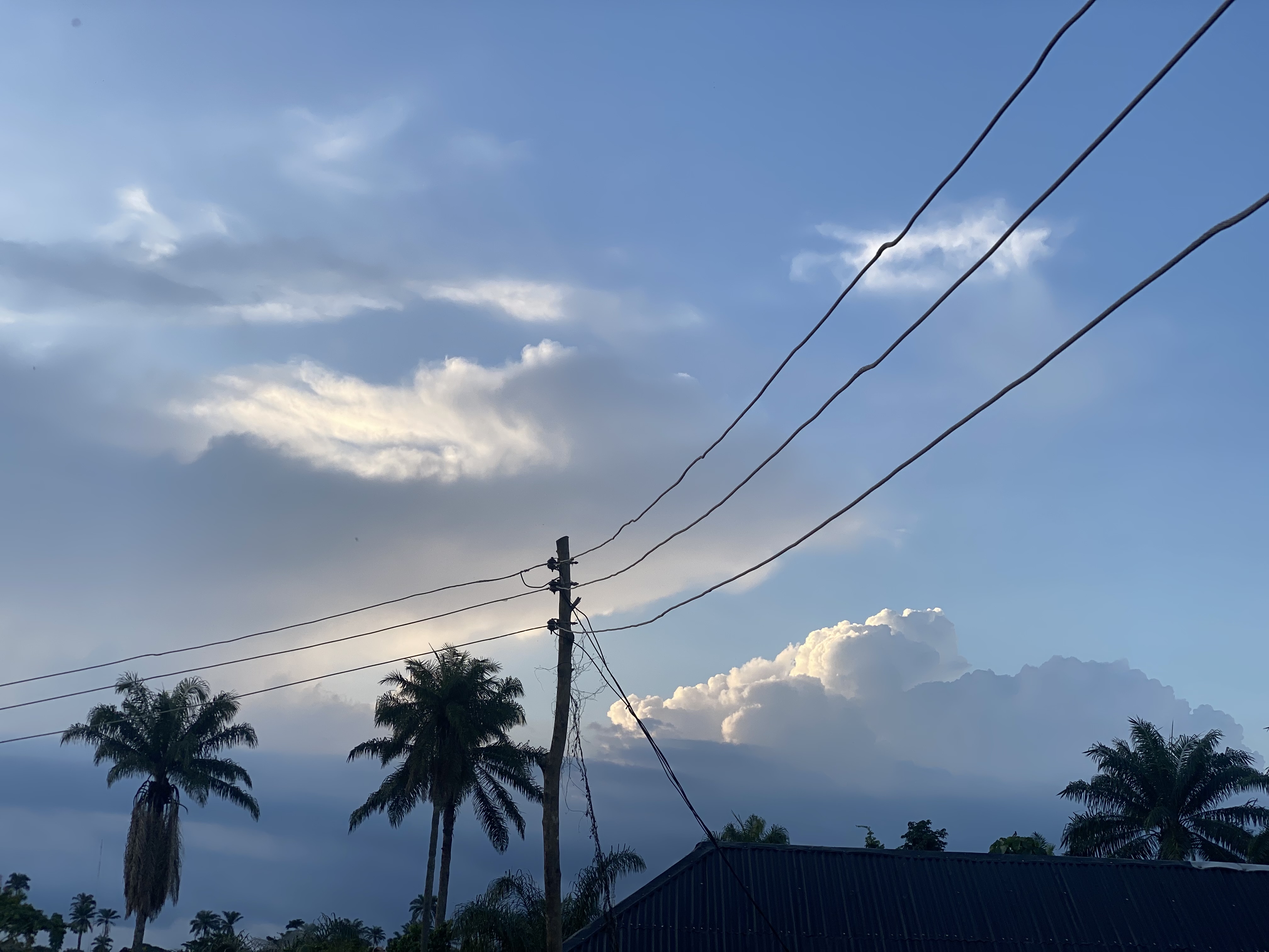IMG_2986.jpeg