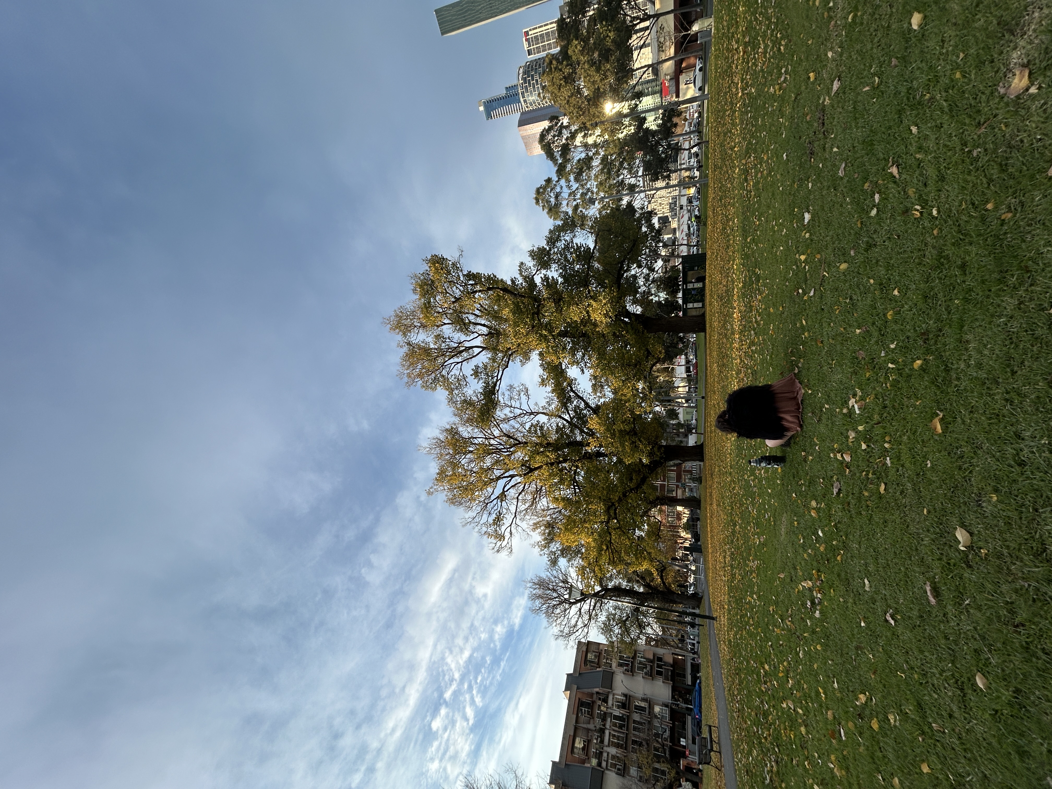 IMG_6269.jpeg