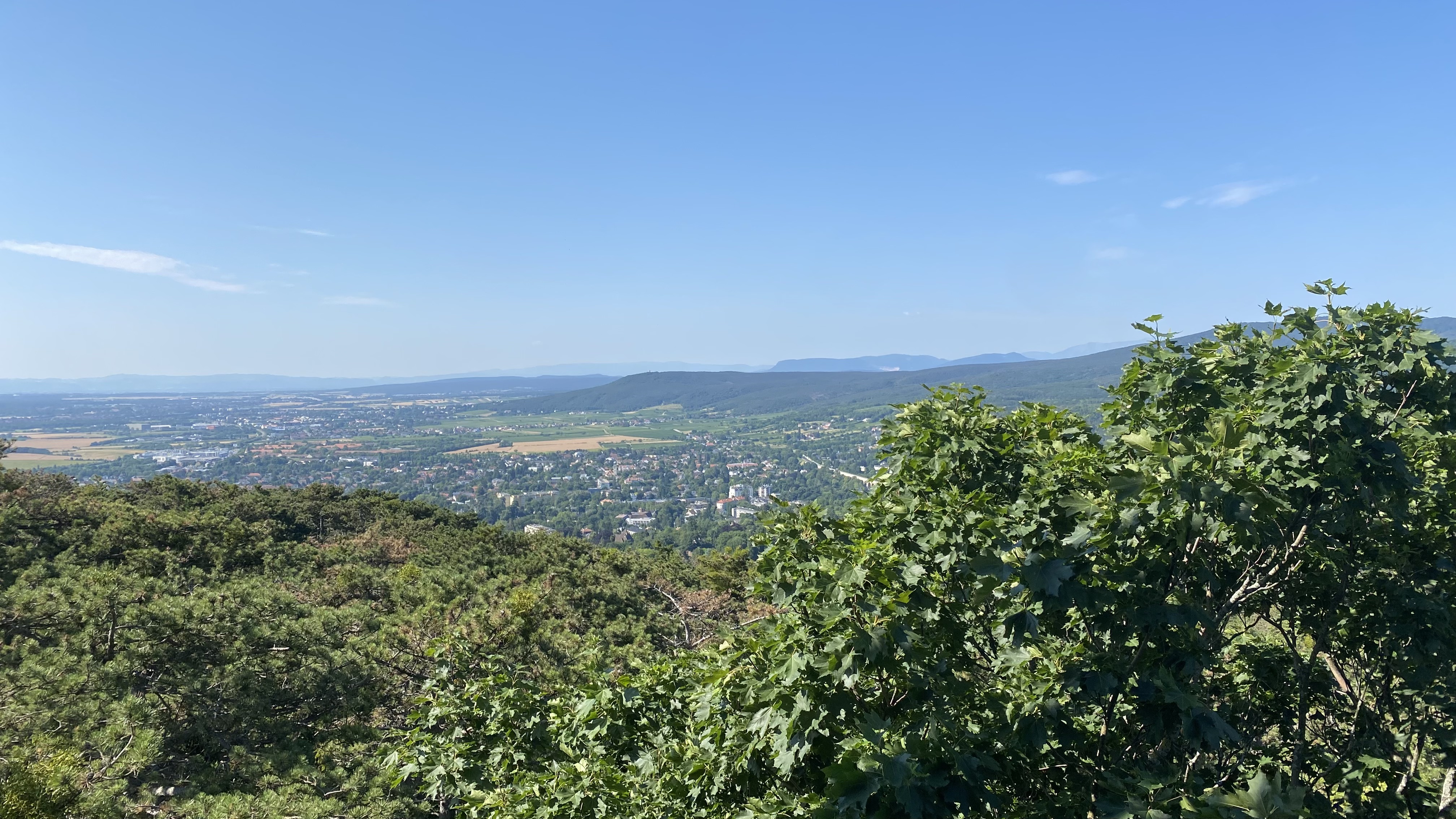 IMG_3234.jpeg