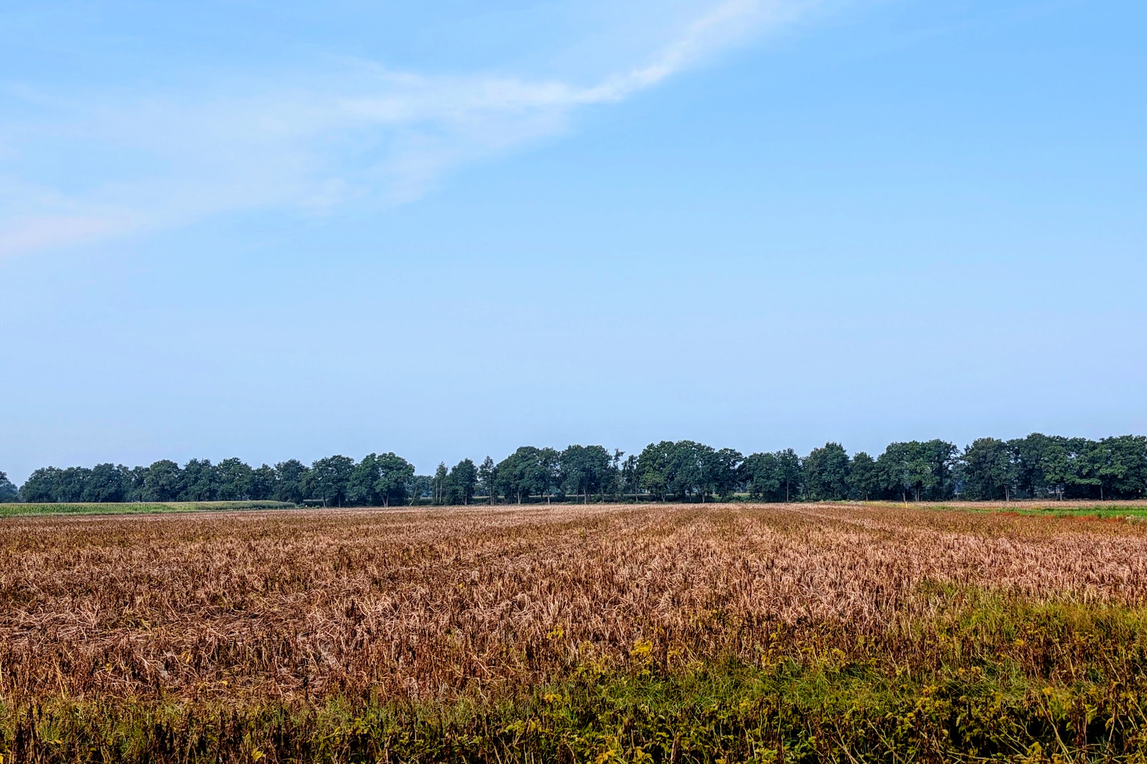 PXL_20250814_082350295-EDIT.jpg