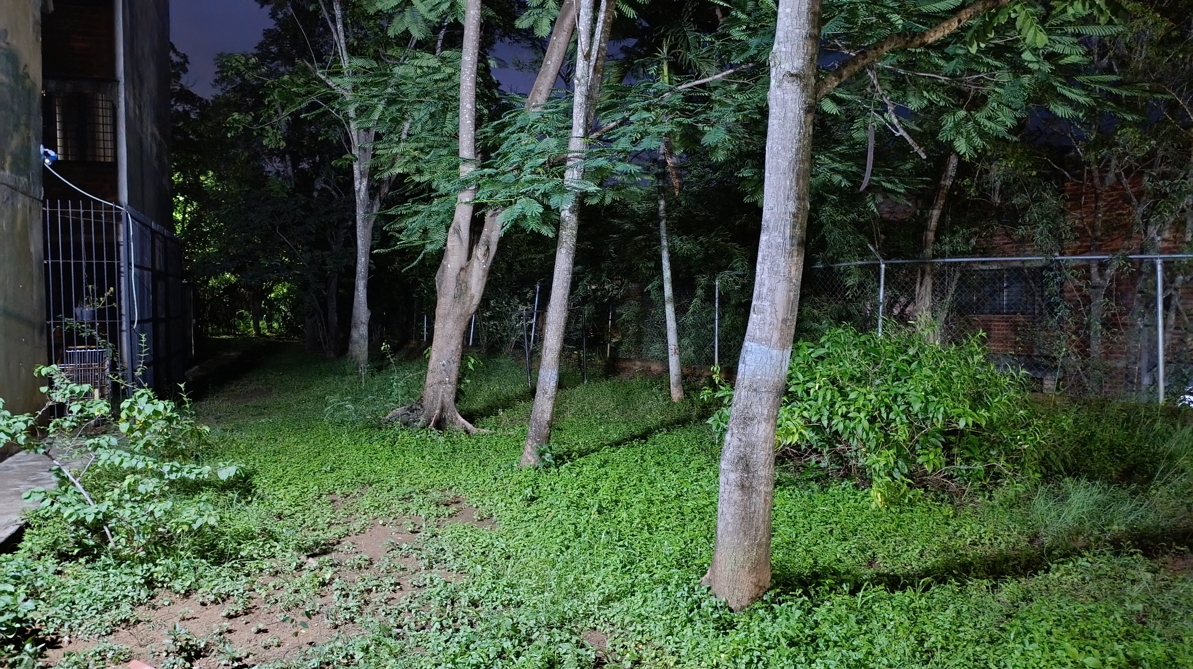 1000046686.jpg