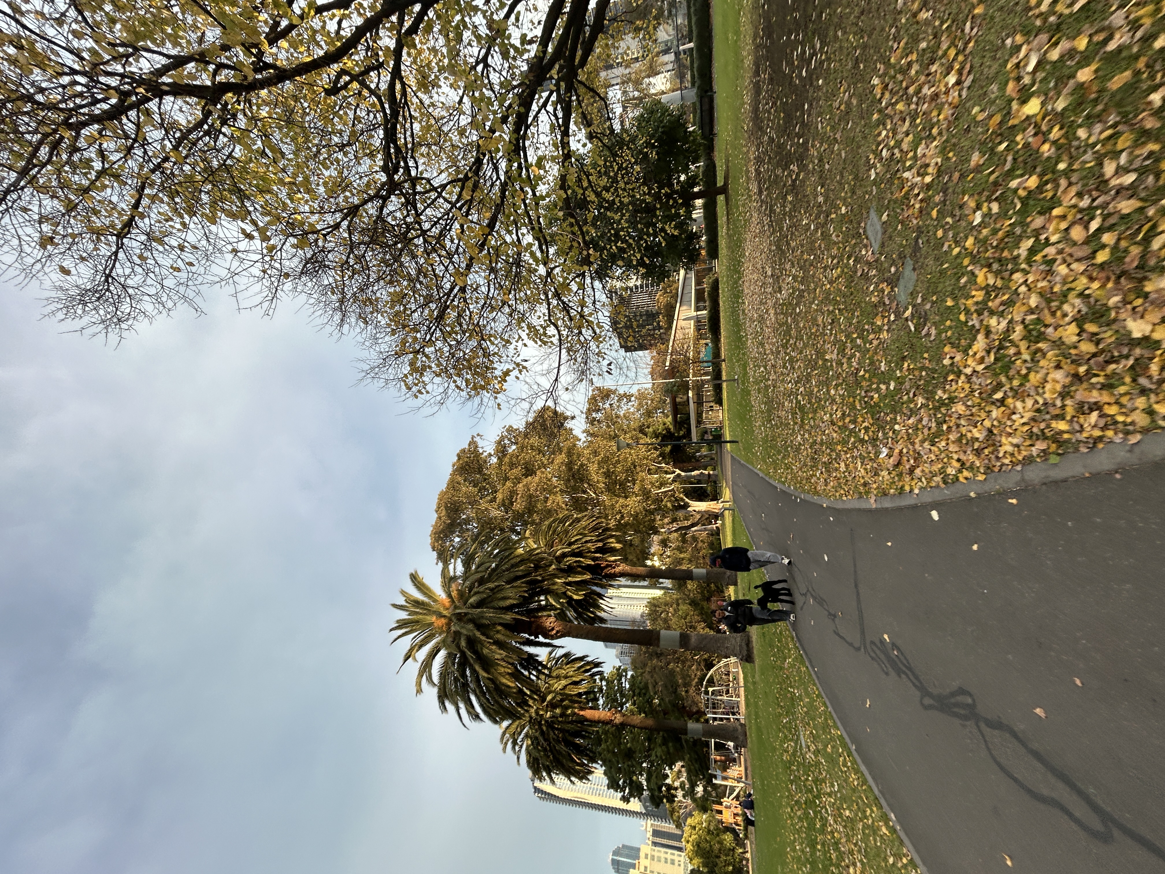 IMG_6273.jpeg