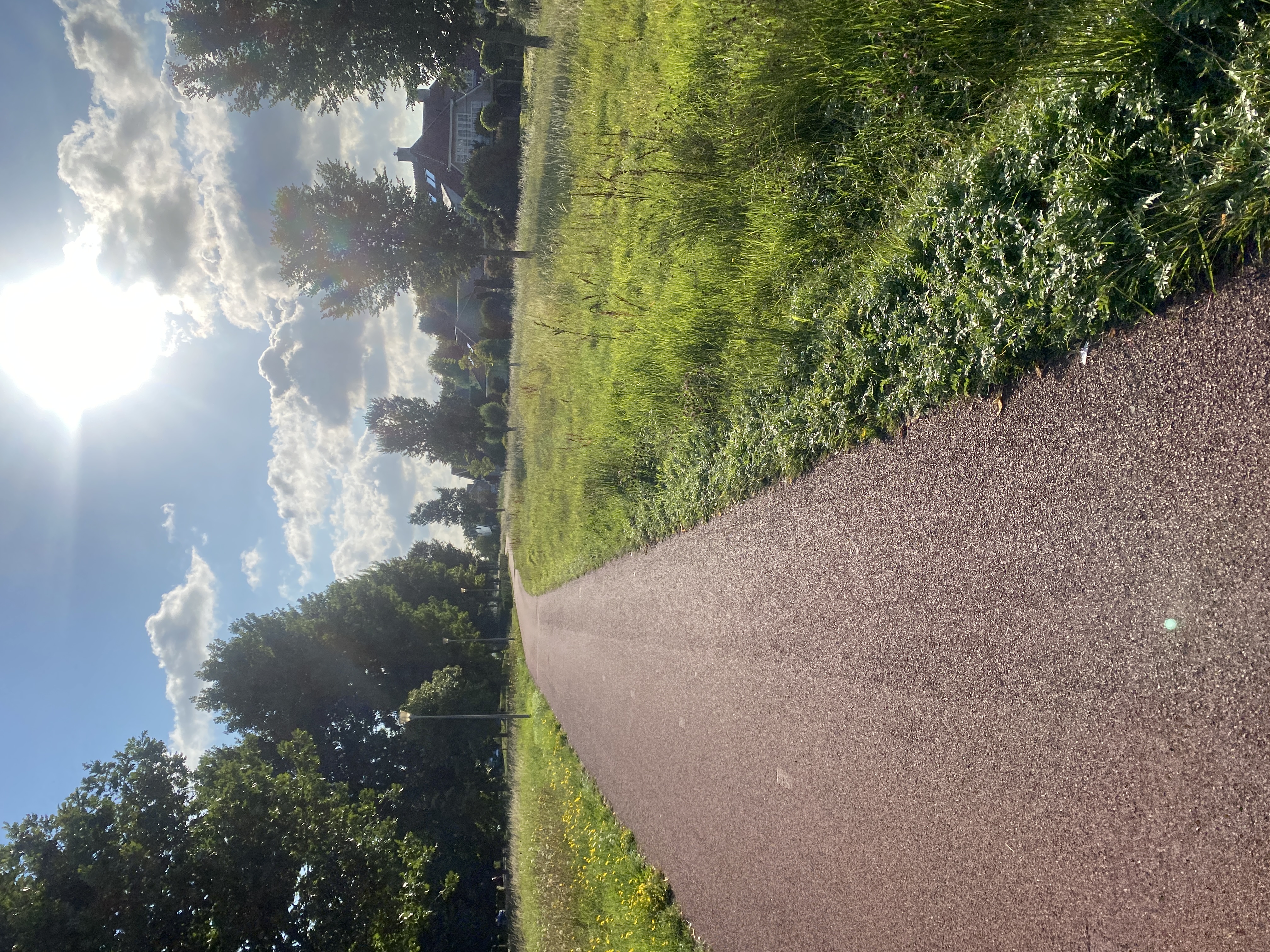 IMG_3122.jpeg