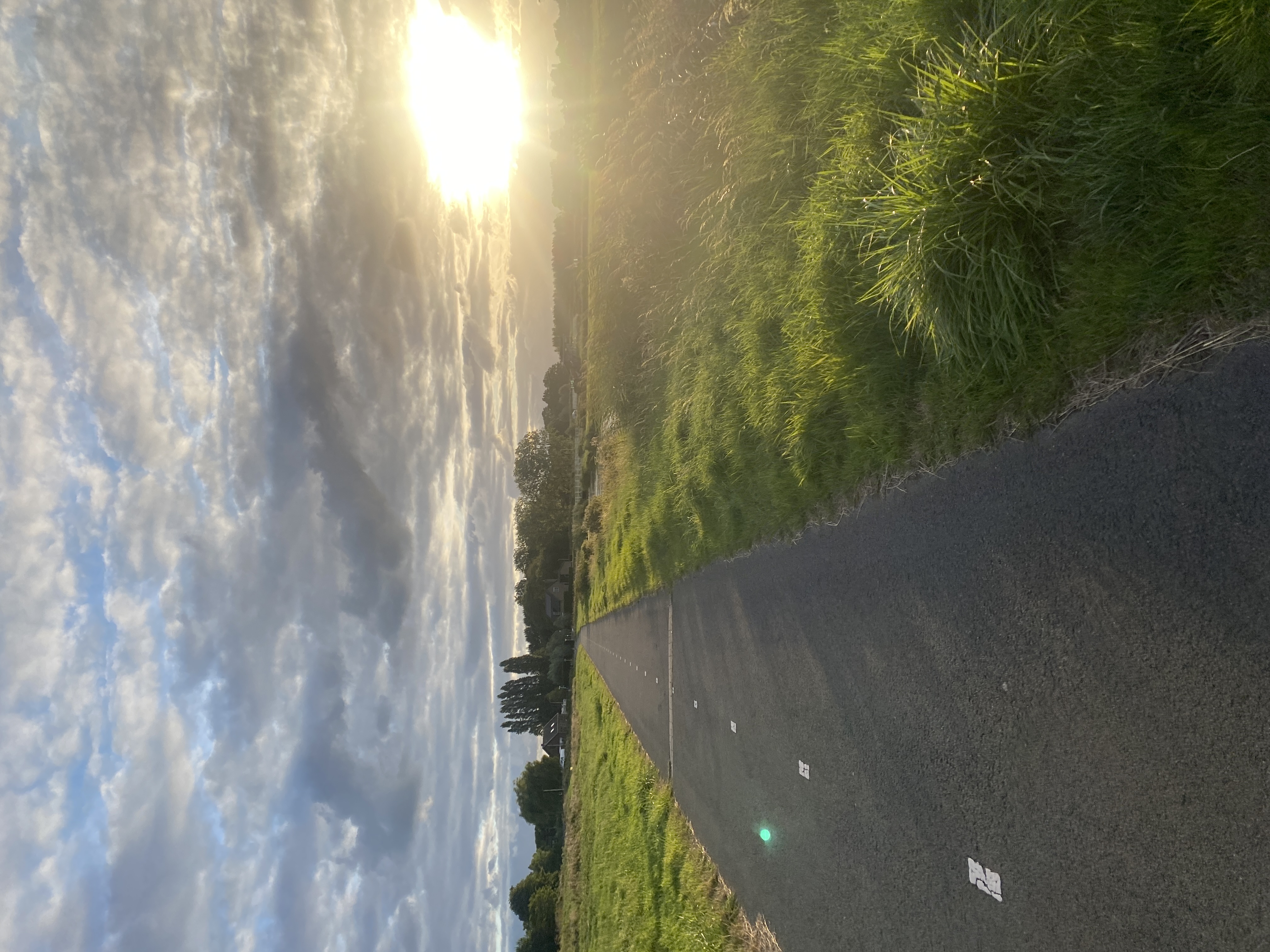 IMG_4127.jpeg