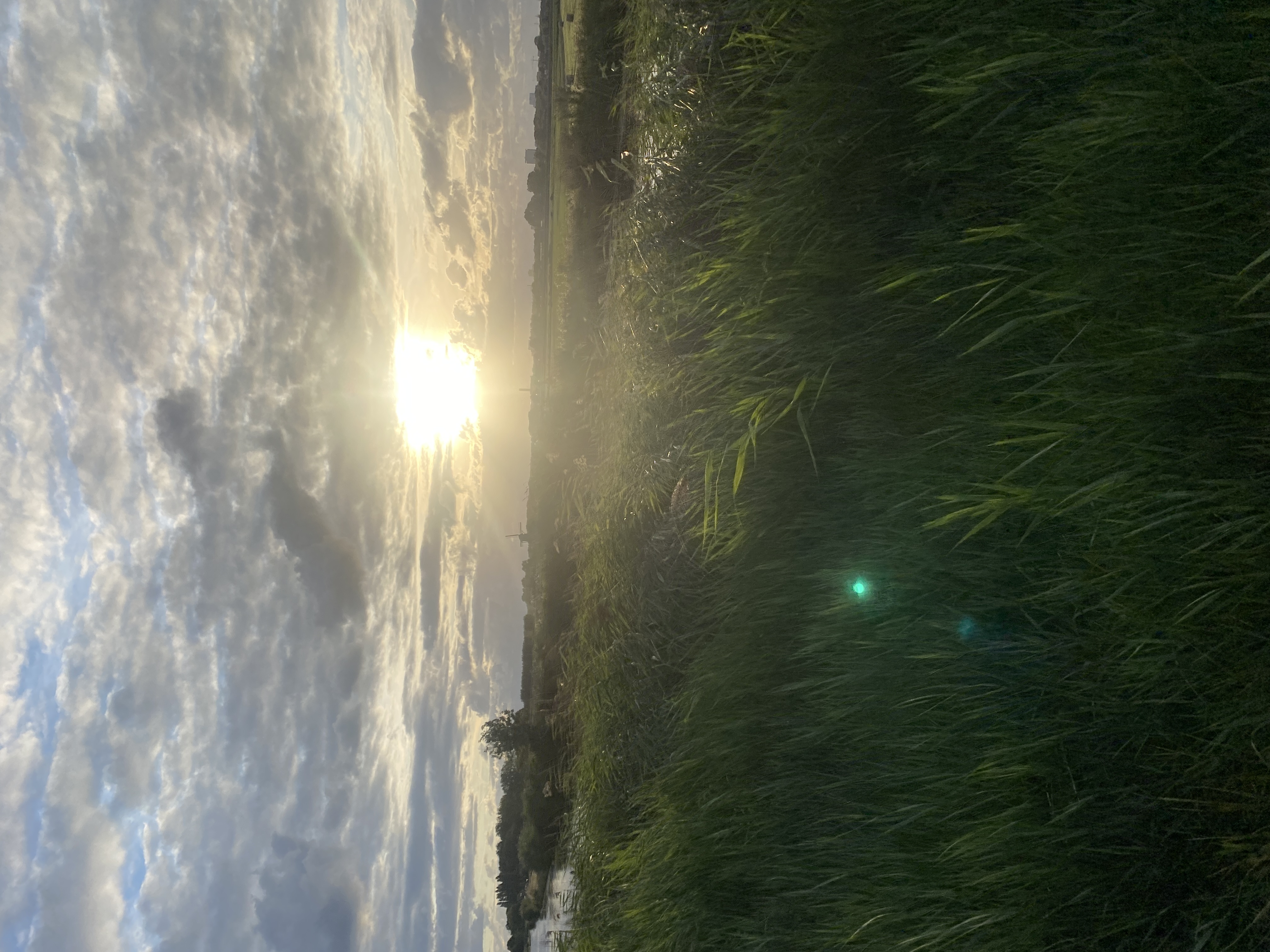 IMG_4125.jpeg