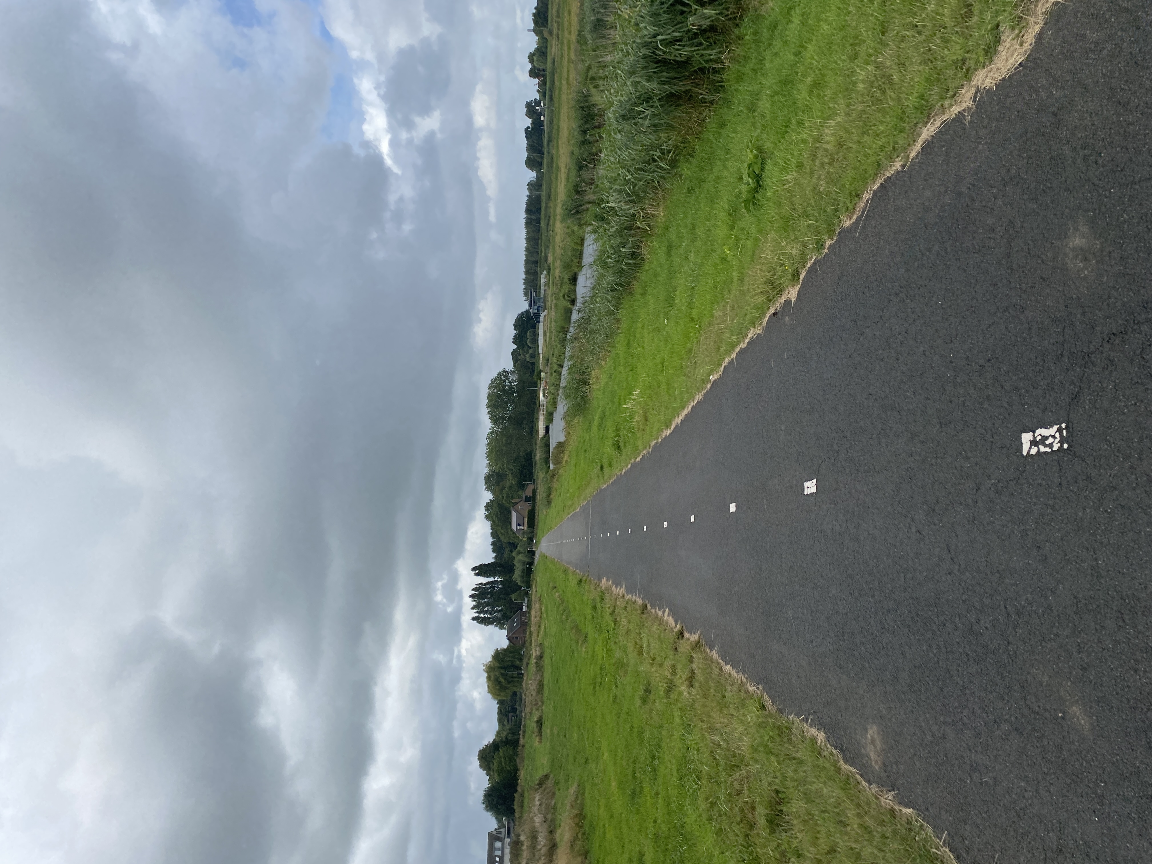 IMG_3033.jpeg