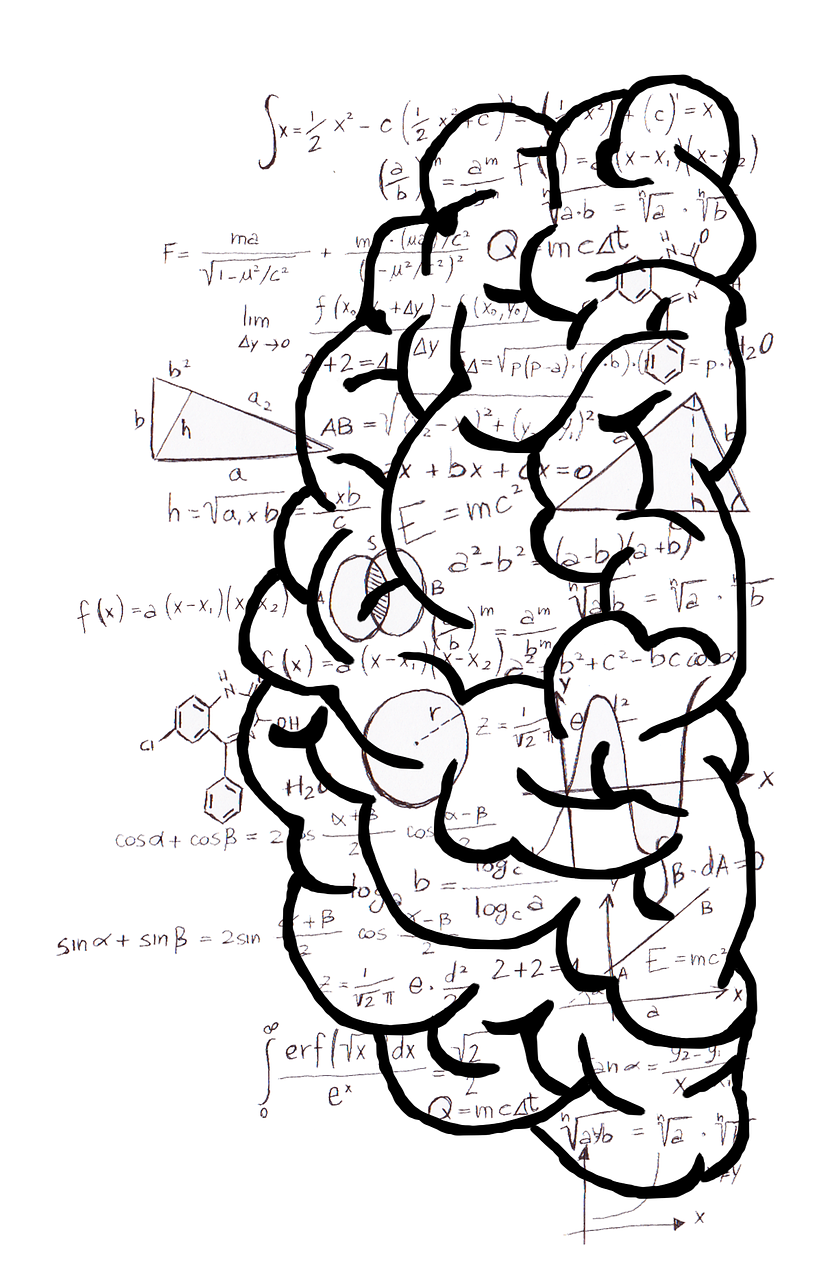 brain-2062059_1280.png