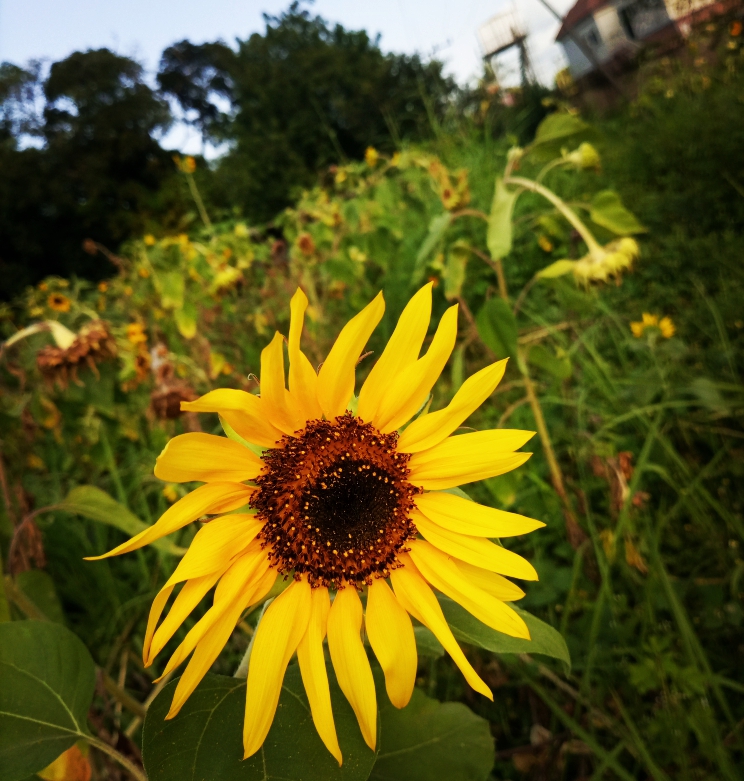 f3e4b4ce-d172-46d4-885f-f4f39febc22d.jpeg