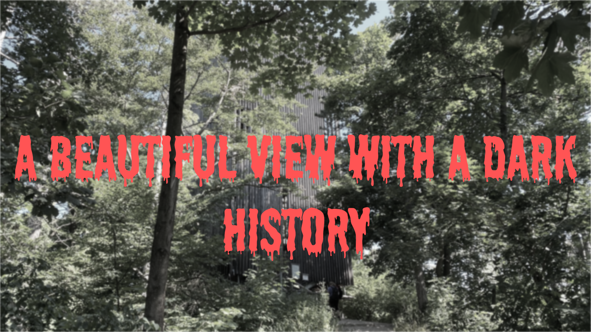 titlephotowalk.png