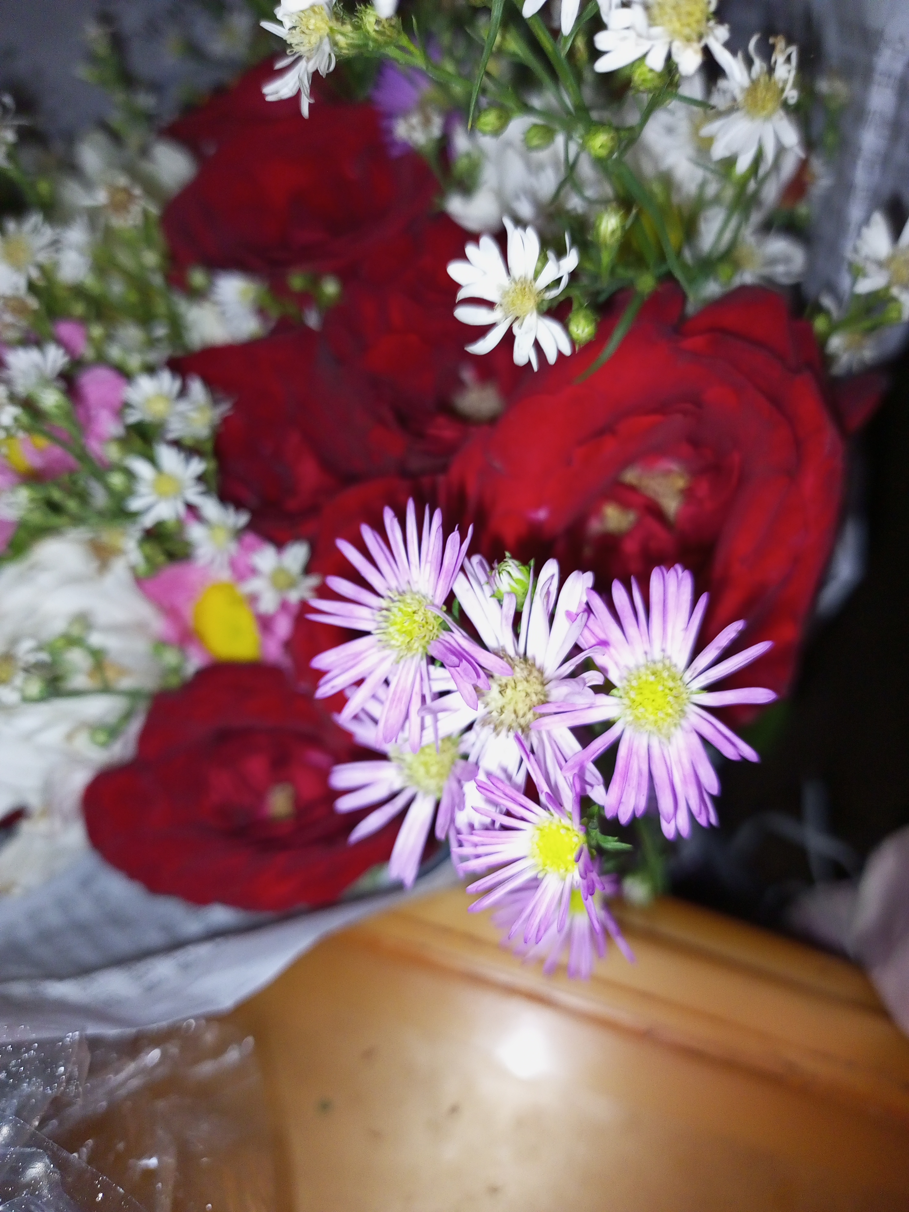 IMG_20230402_130604_058.jpg